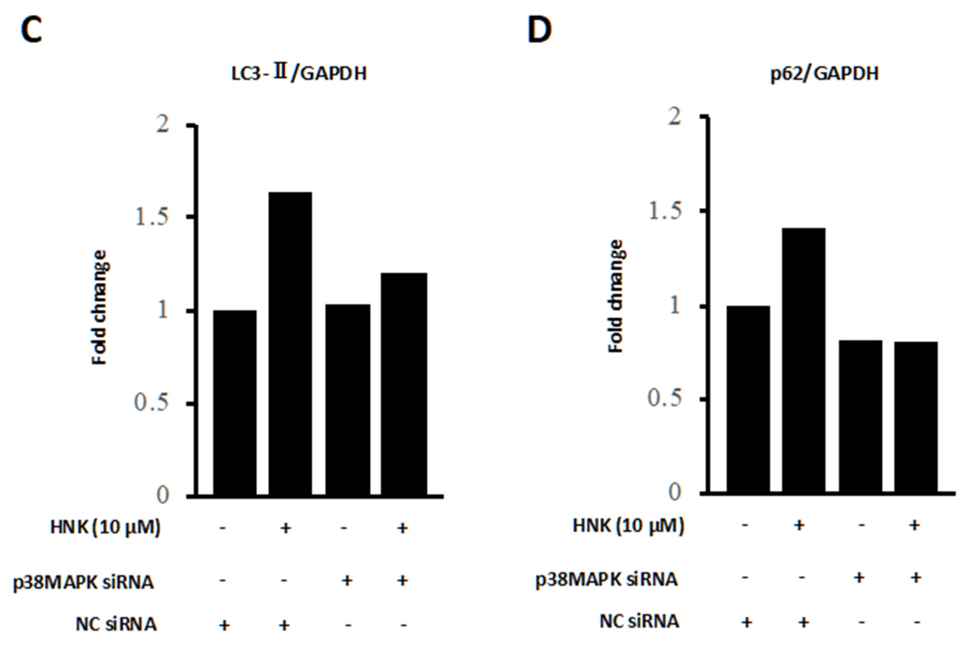 Ijms 22 13354 g006b 550