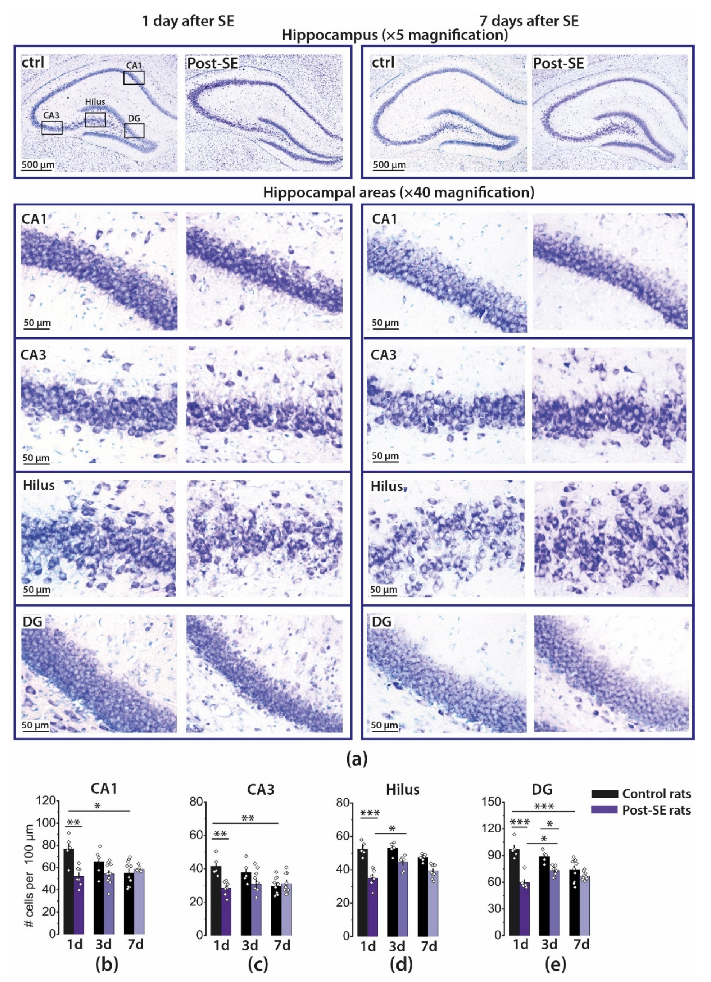 Ijms 22 13355 g001 Ijms 22 13355 g001