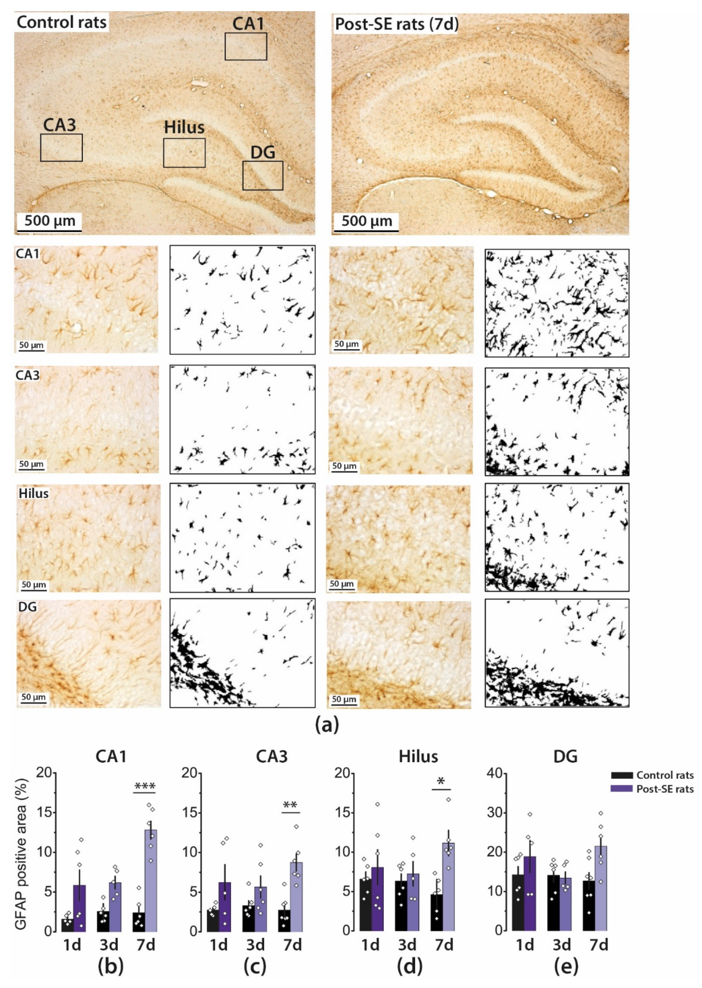 Ijms 22 13355 g002 Ijms 22 13355 g002