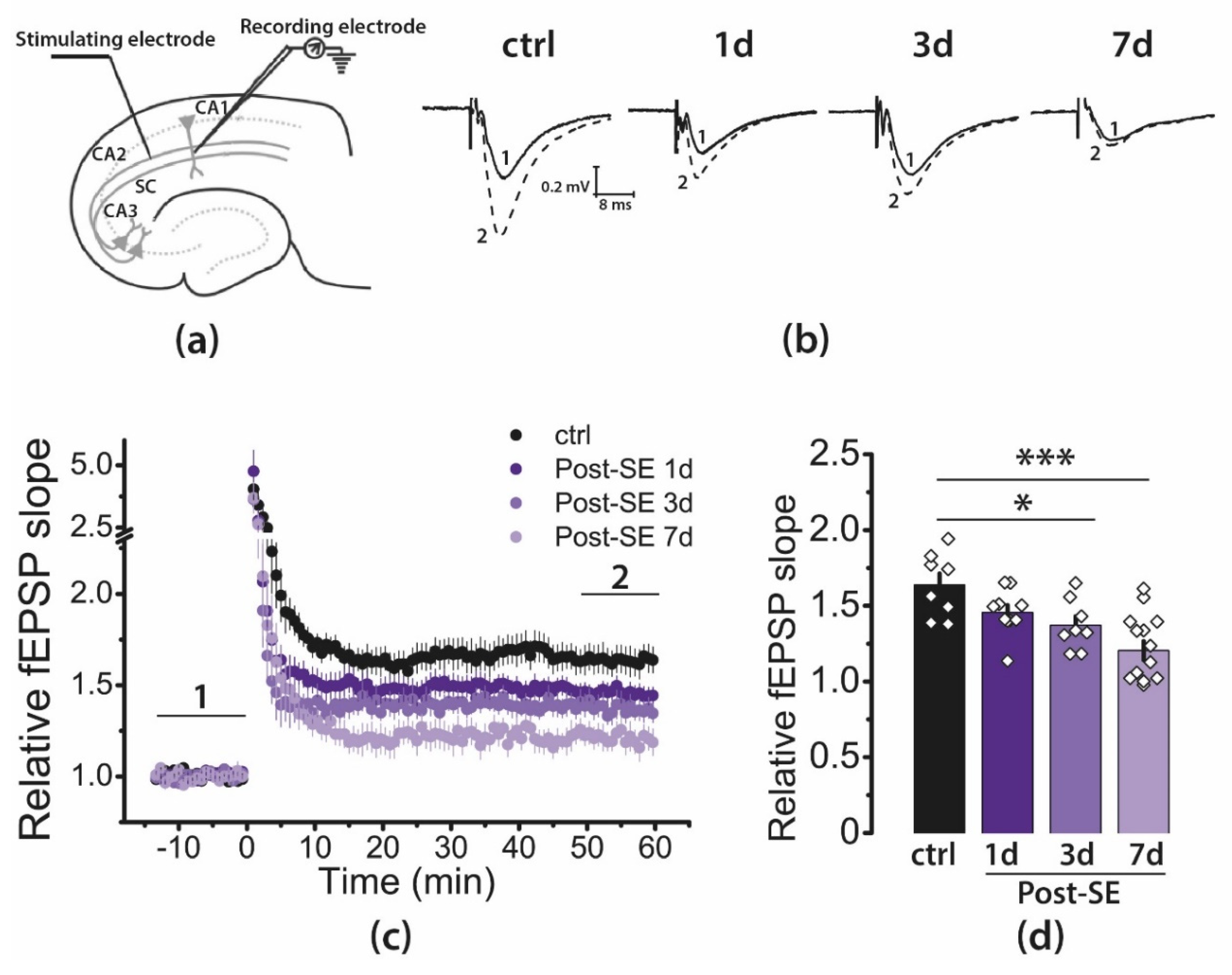 Ijms 22 13355 g003 Ijms 22 13355 g003