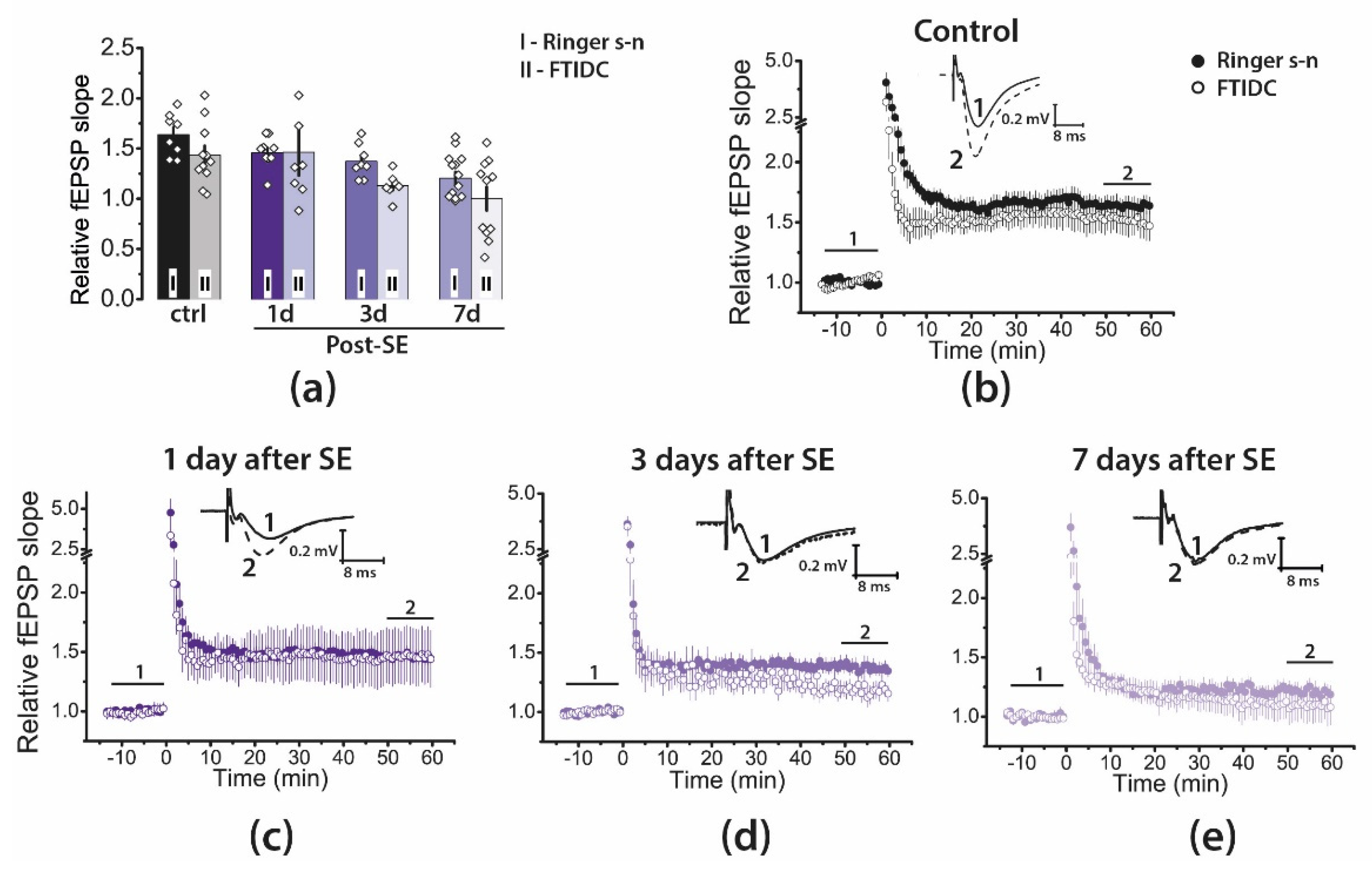 Ijms 22 13355 g005 Ijms 22 13355 g005