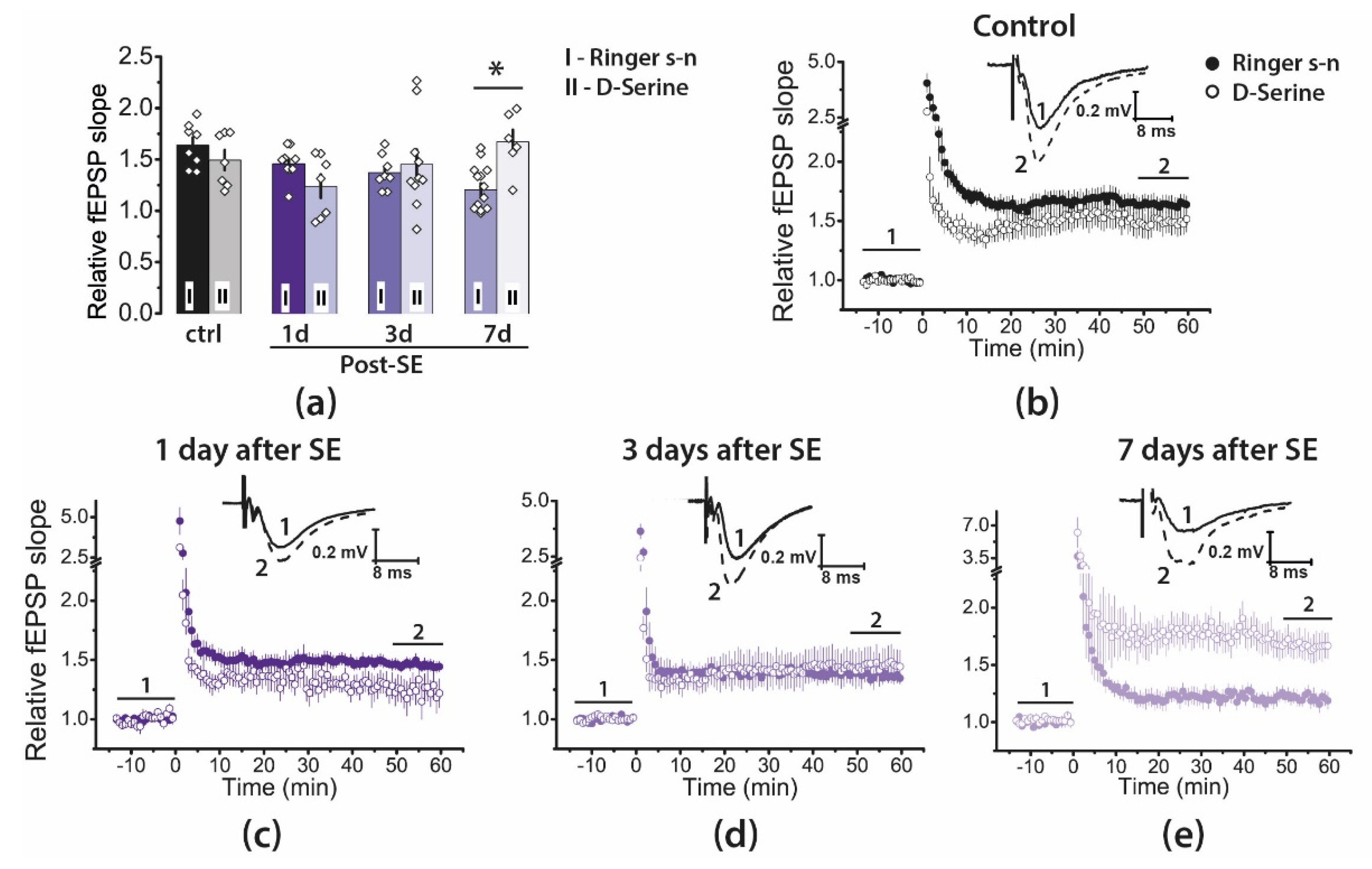 Ijms 22 13355 g006 Ijms 22 13355 g006