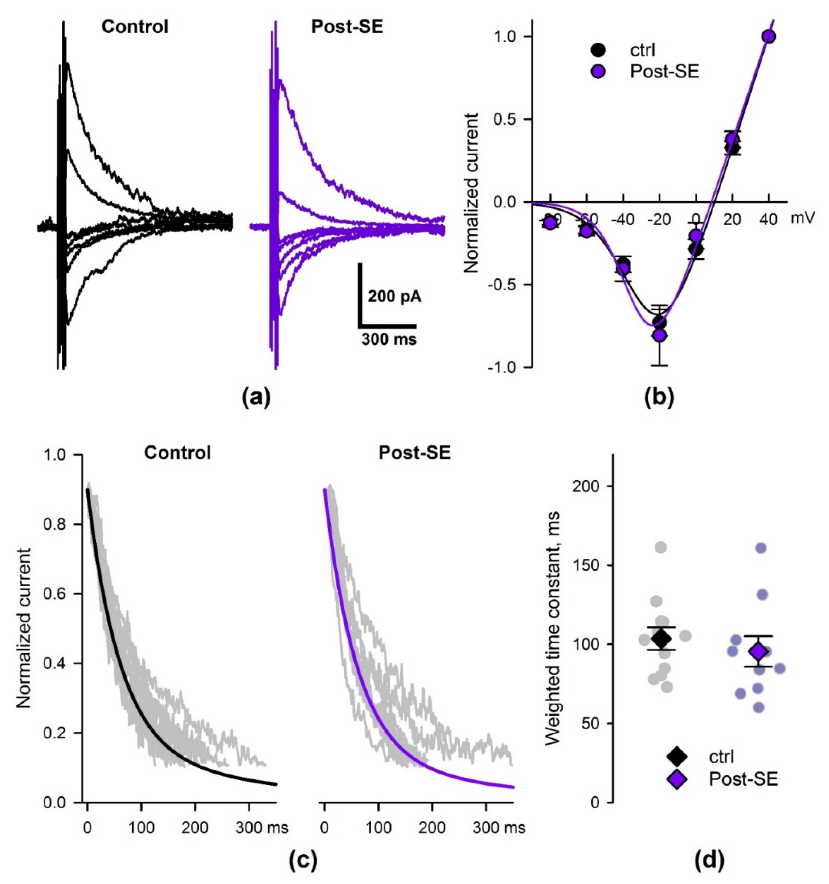 Ijms 22 13355 g007 Ijms 22 13355 g007