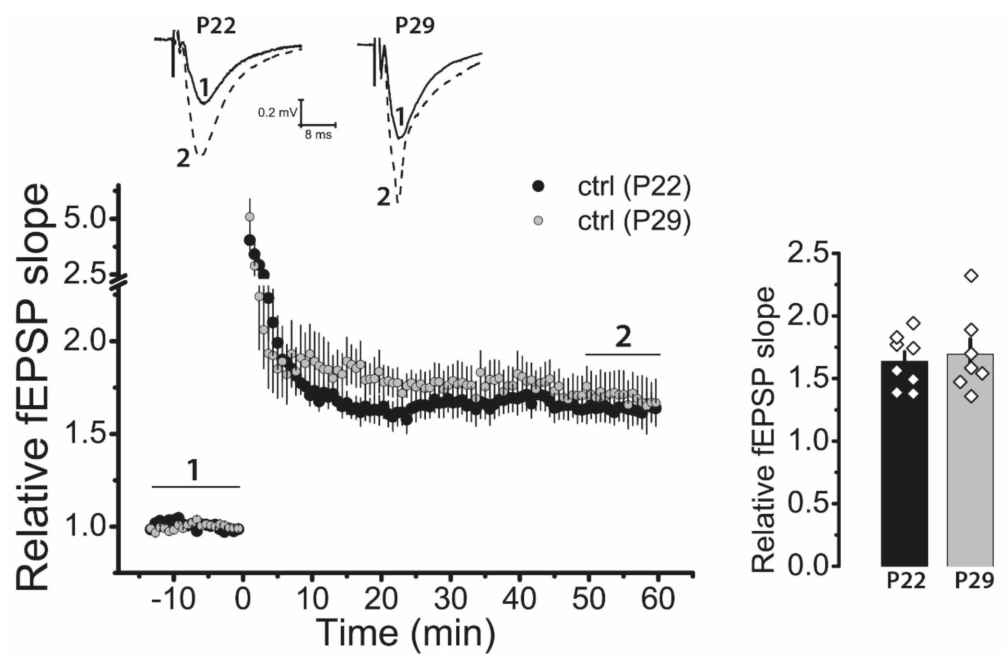 Ijms 22 13355 g0a2 Ijms 22 13355 g0a2