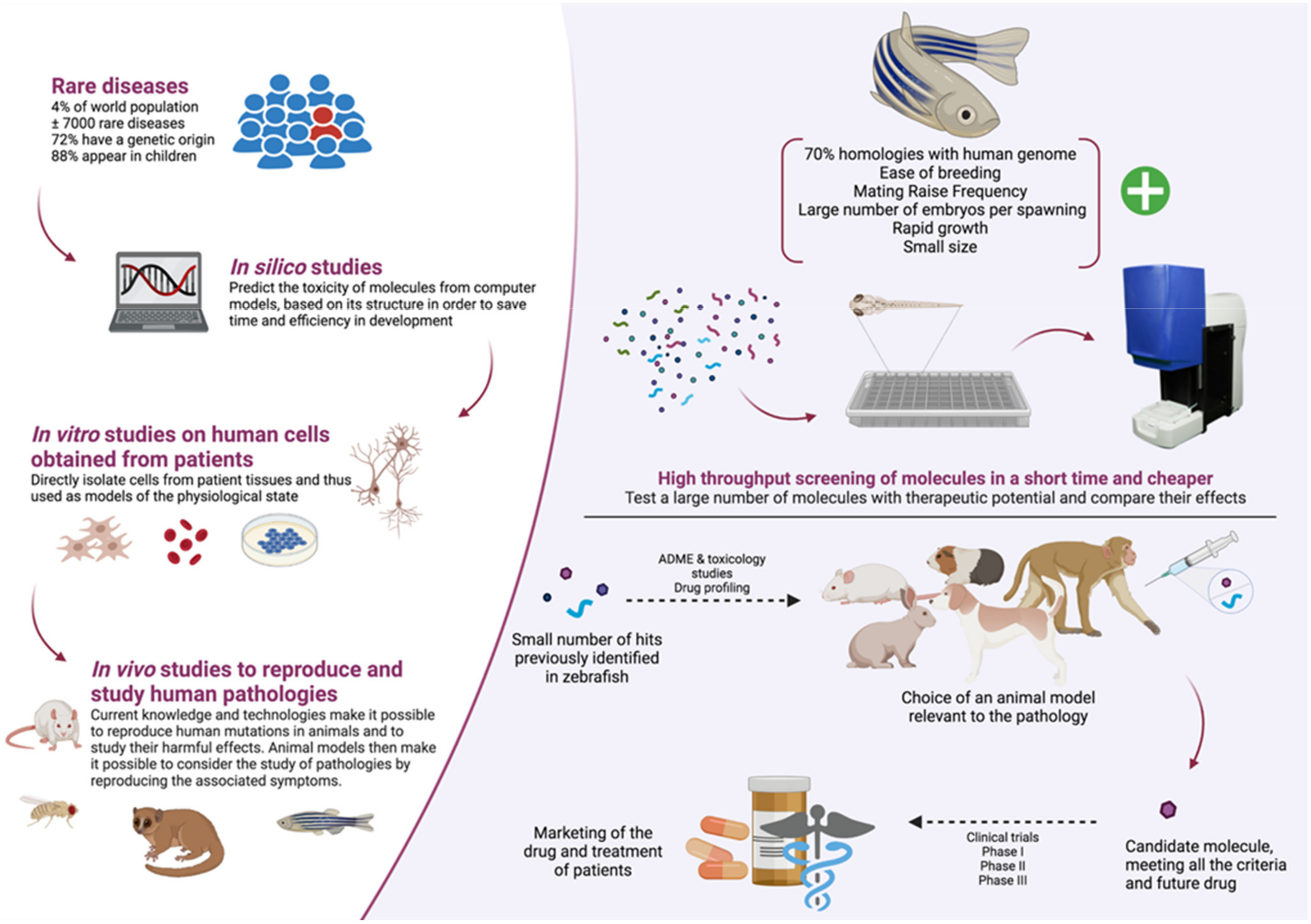 Ijms 22 13356 g003 Ijms 22 13356 g003