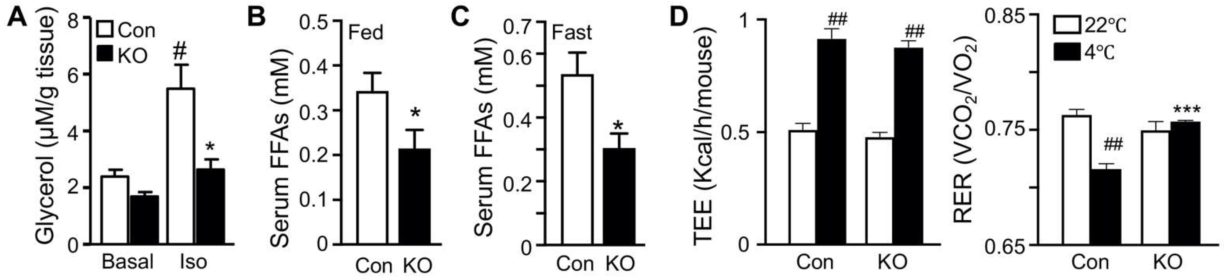 Ijms 22 13361 g001a 550