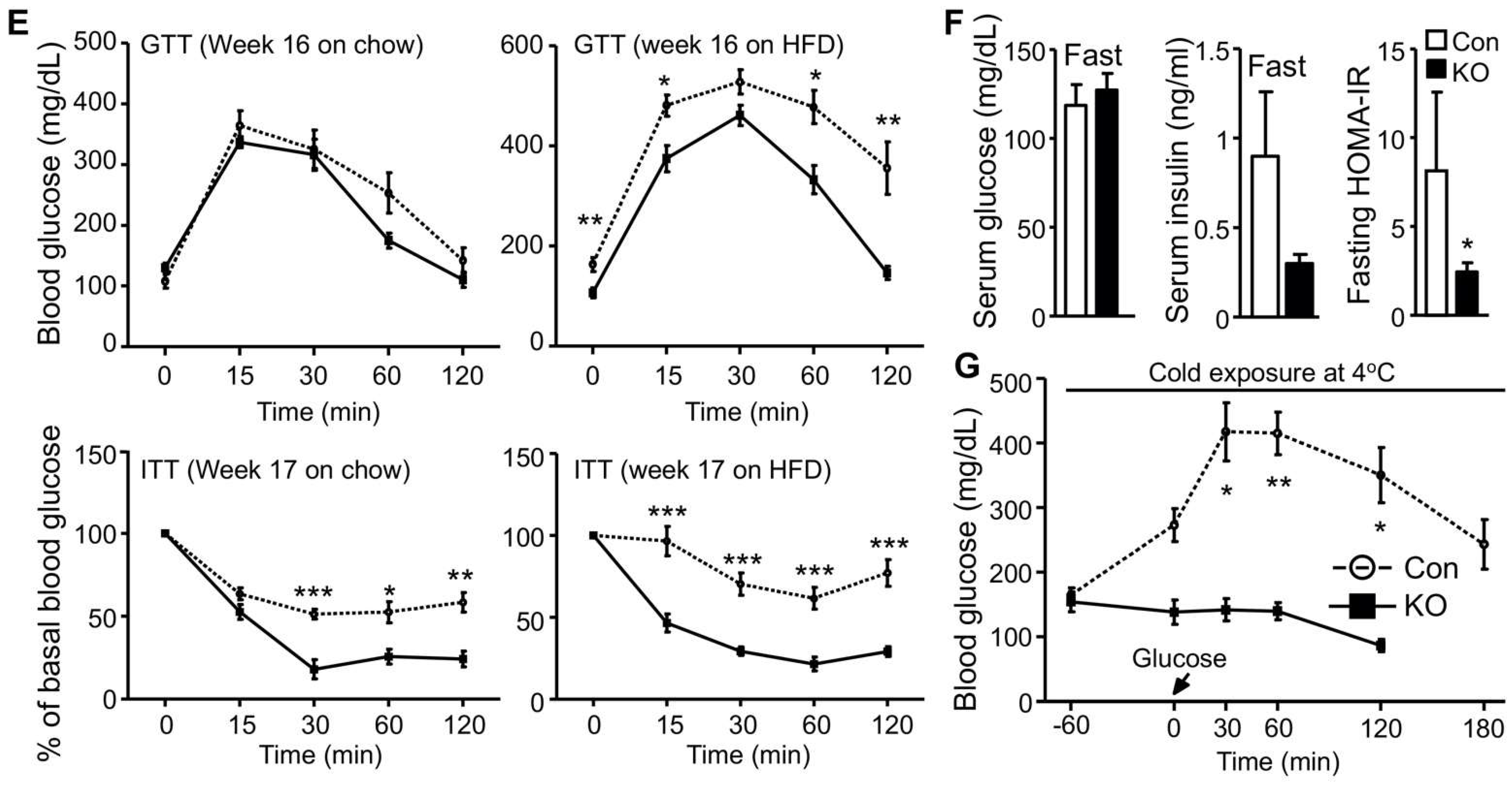 Ijms 22 13361 g001b 550