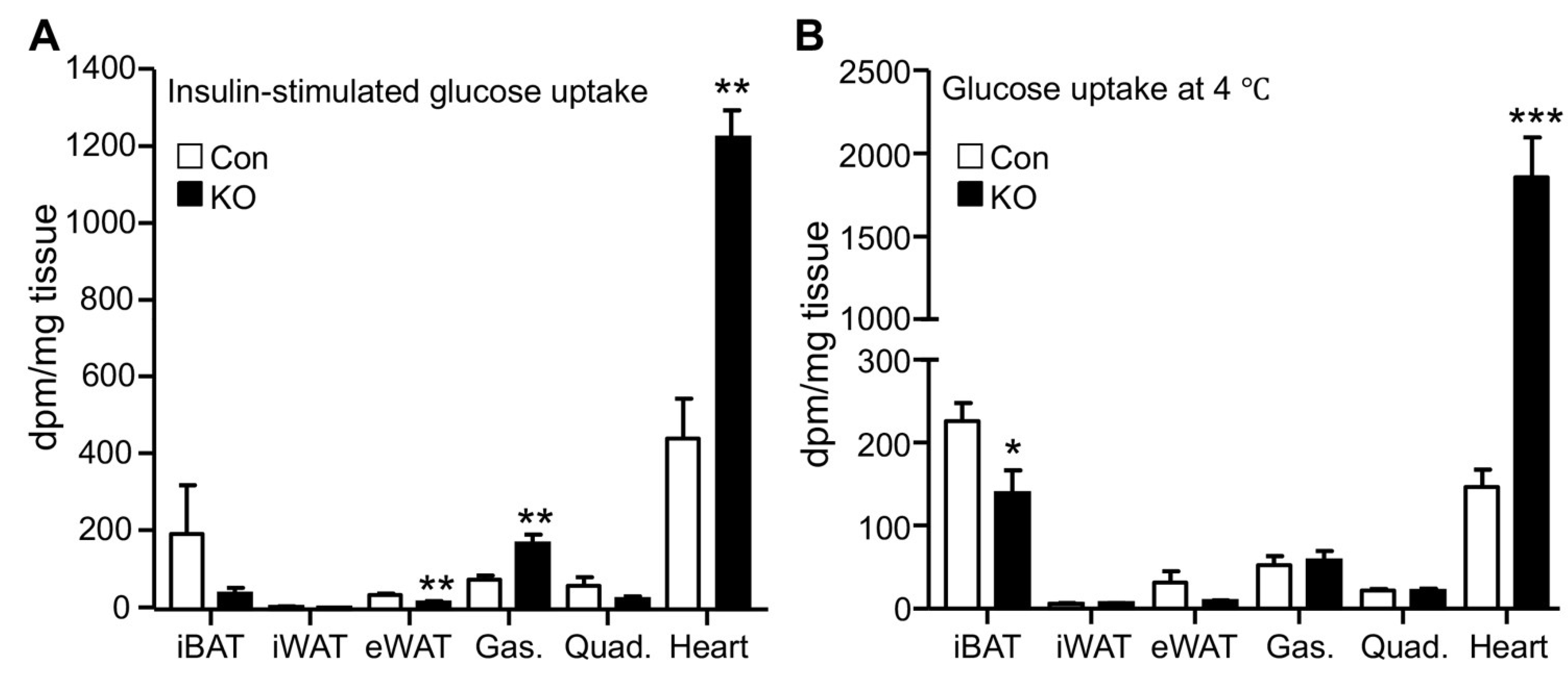 Ijms 22 13361 g002 550