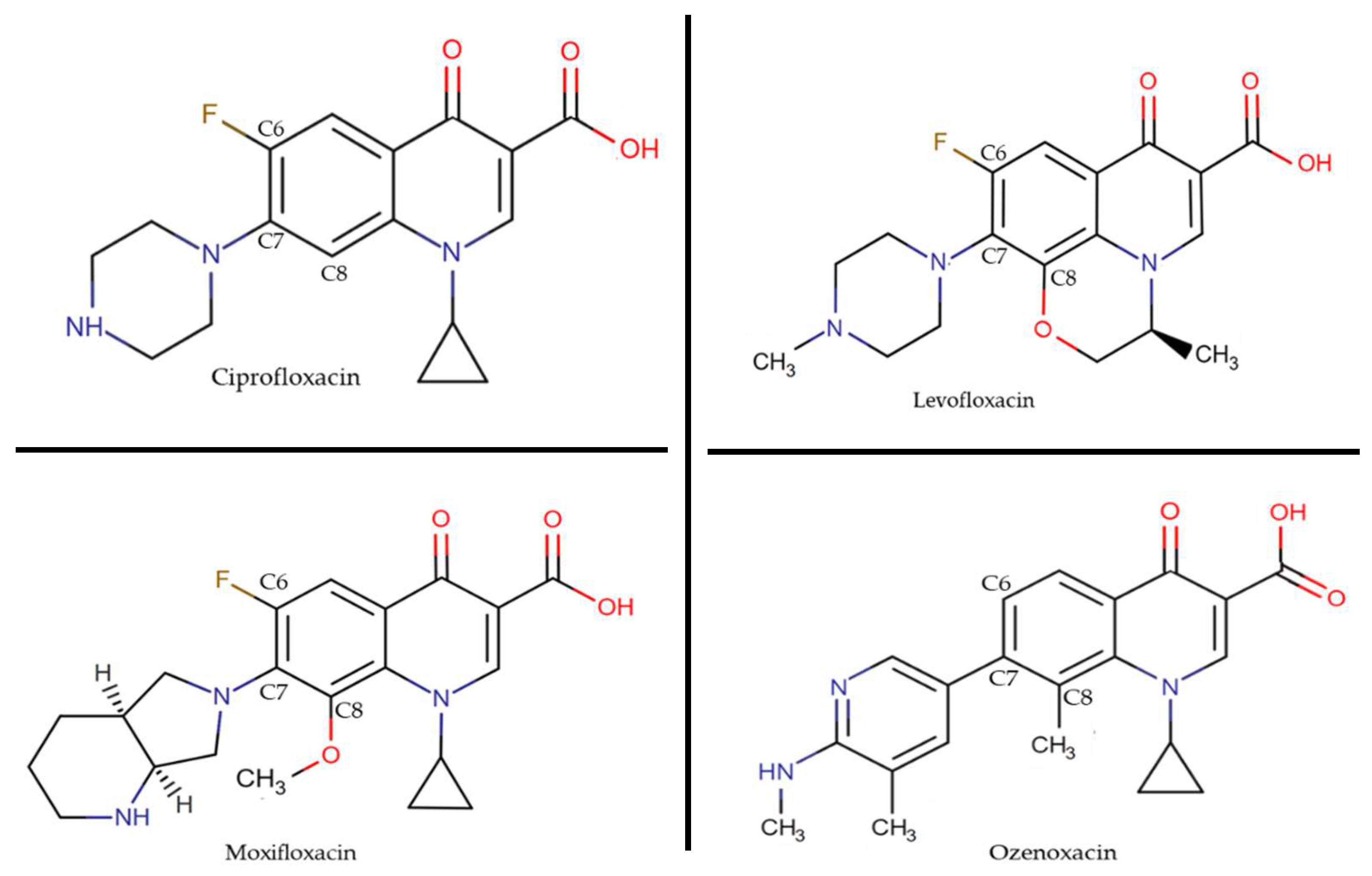 Ijms 22 13363 g002 Ijms 22 13363 g002