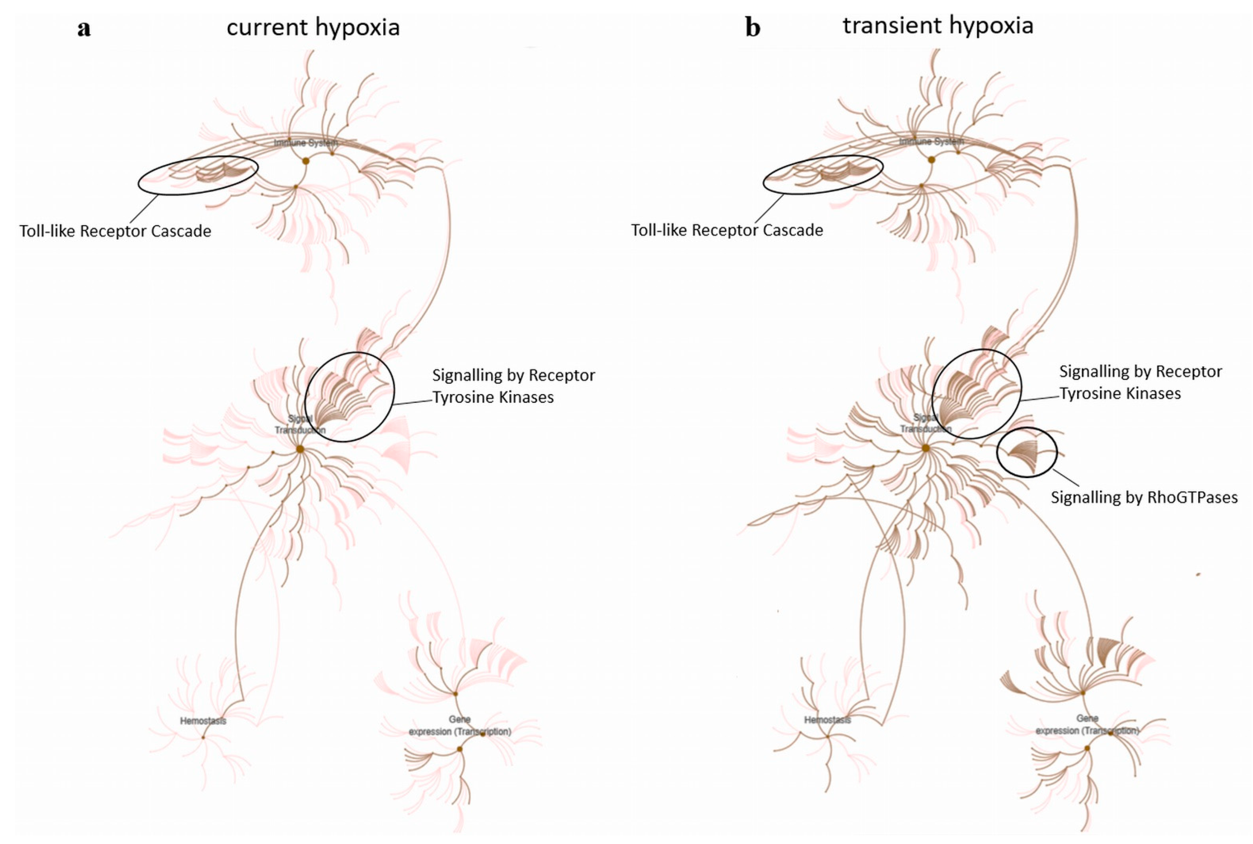 Ijms 22 13378 g005 550