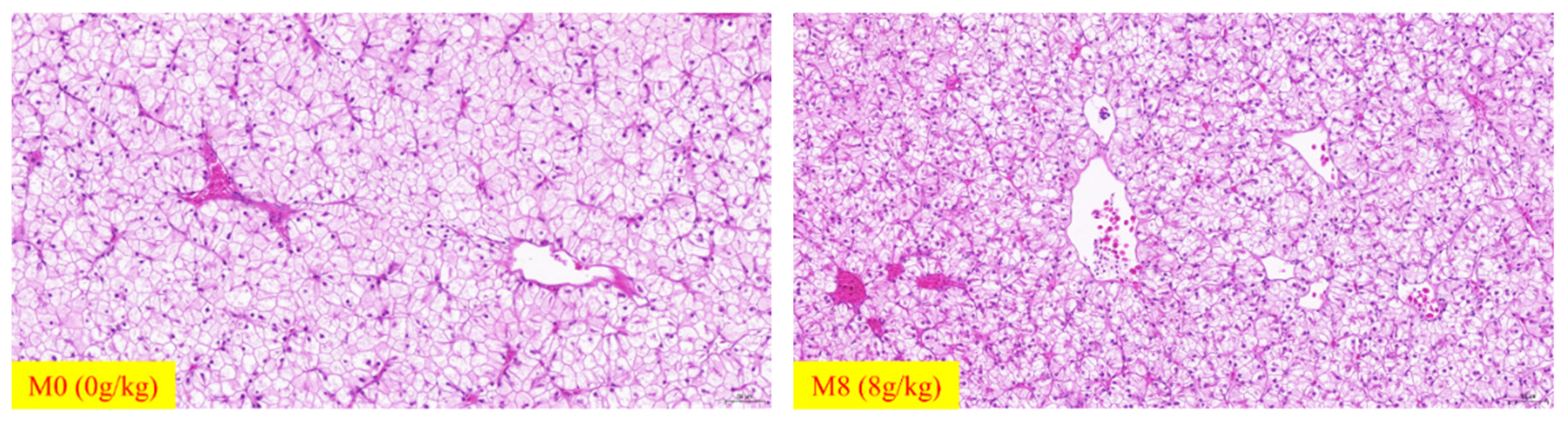 Ijms 22 13379 g001 550