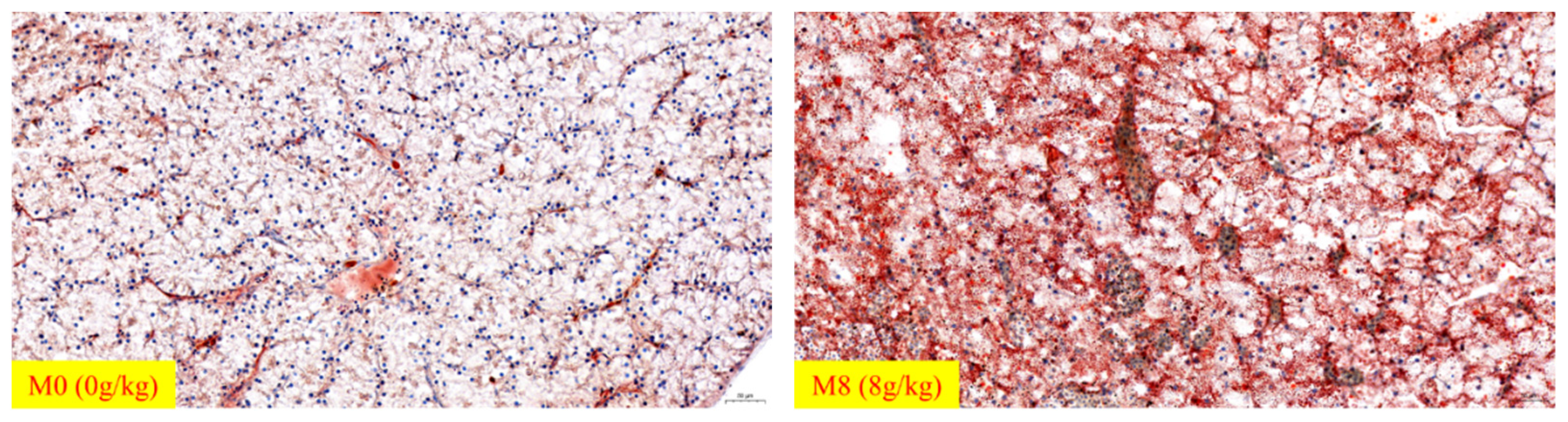 Ijms 22 13379 g002 550