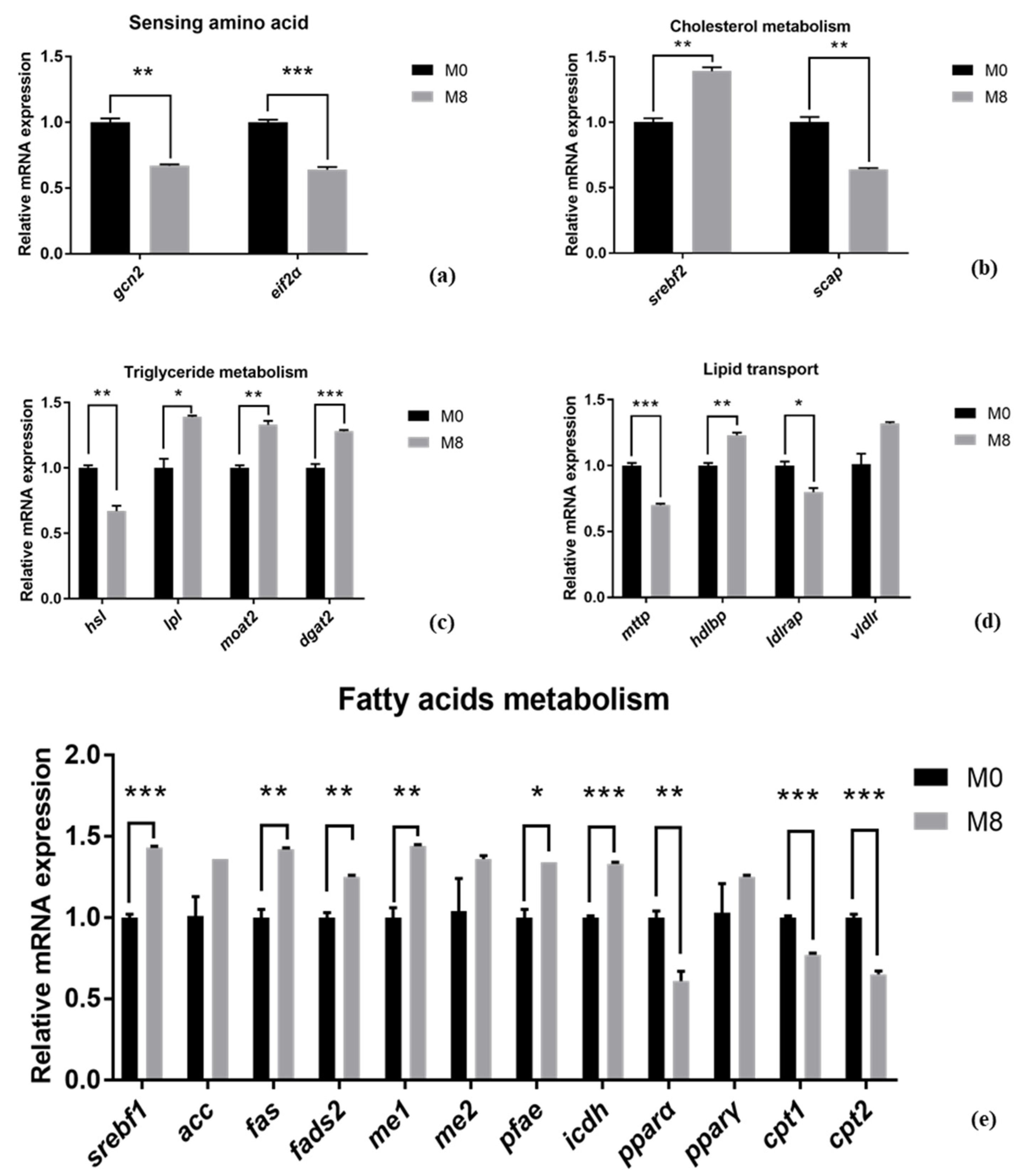 Ijms 22 13379 g003 550