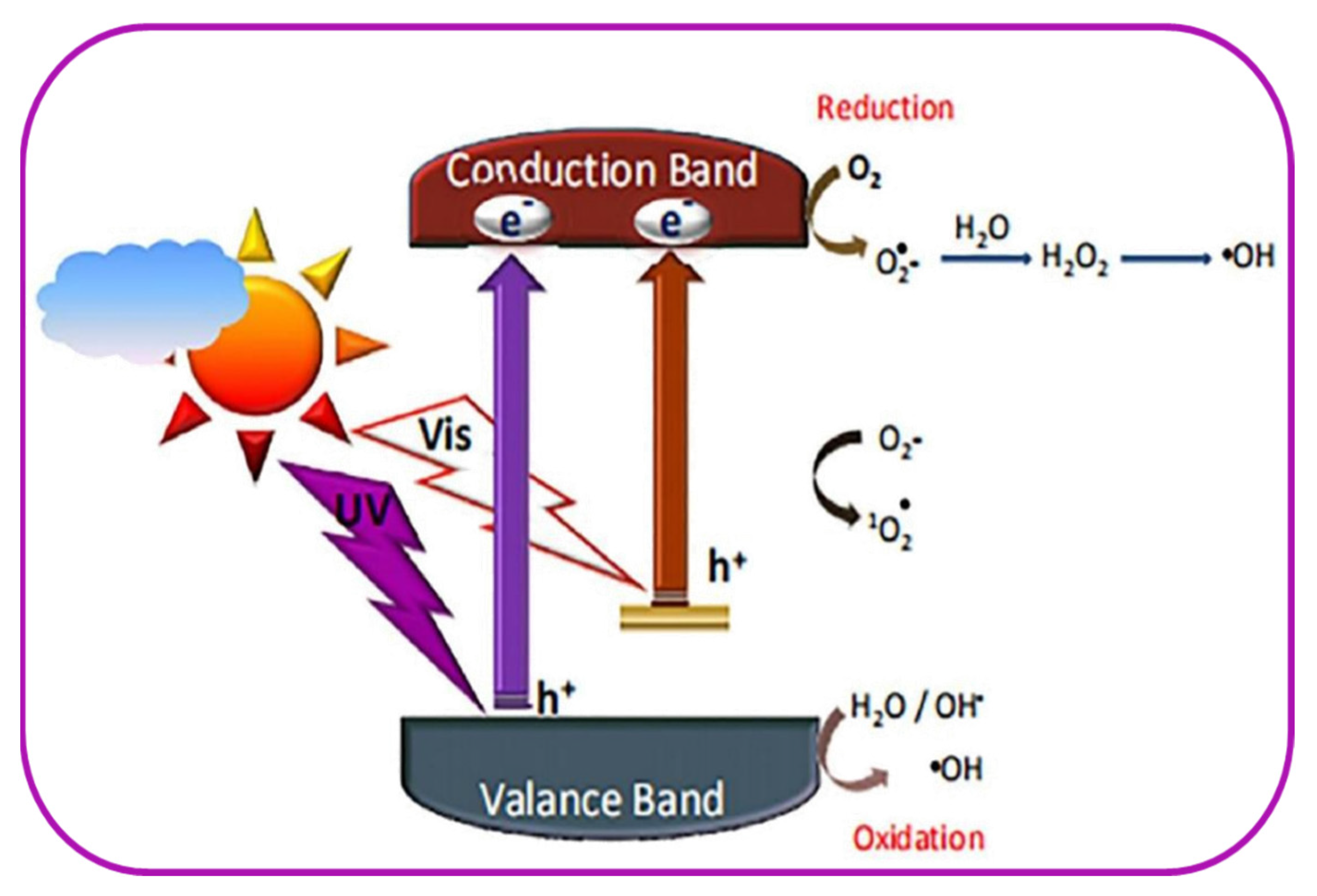 Ijms 22 13383 g003 550