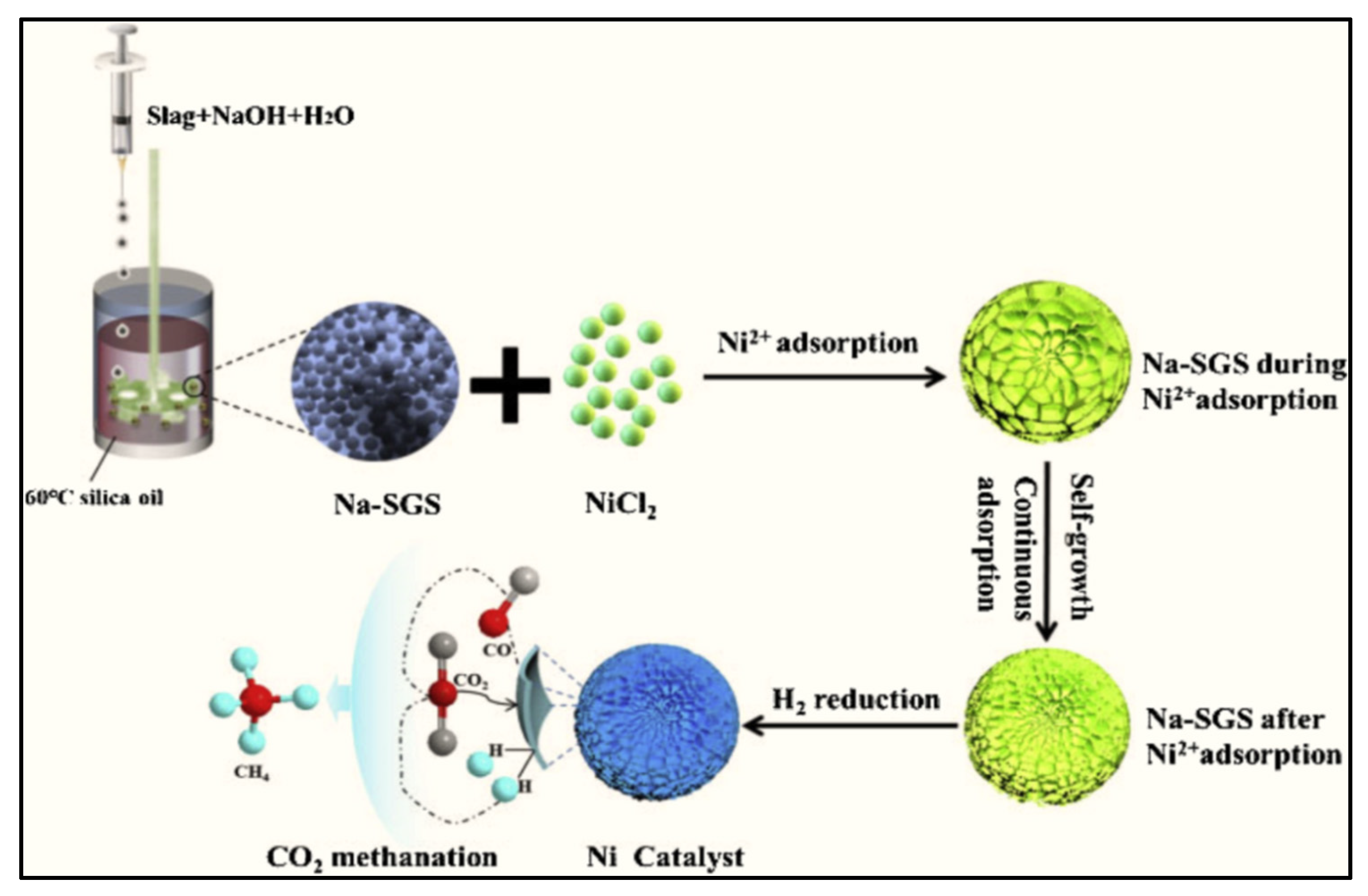 Ijms 22 13383 g004 550