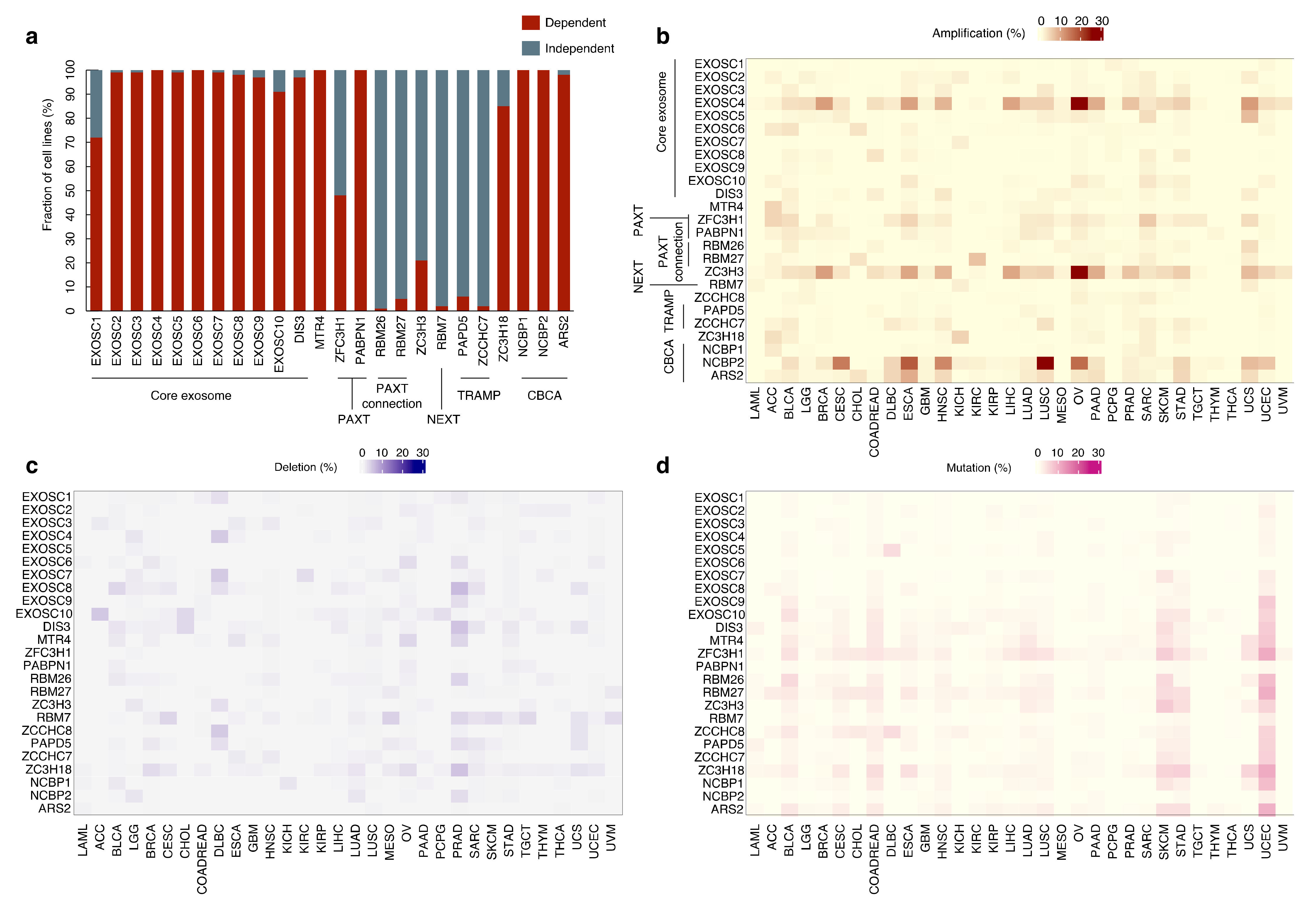 Ijms 22 13401 g003 Ijms 22 13401 g003