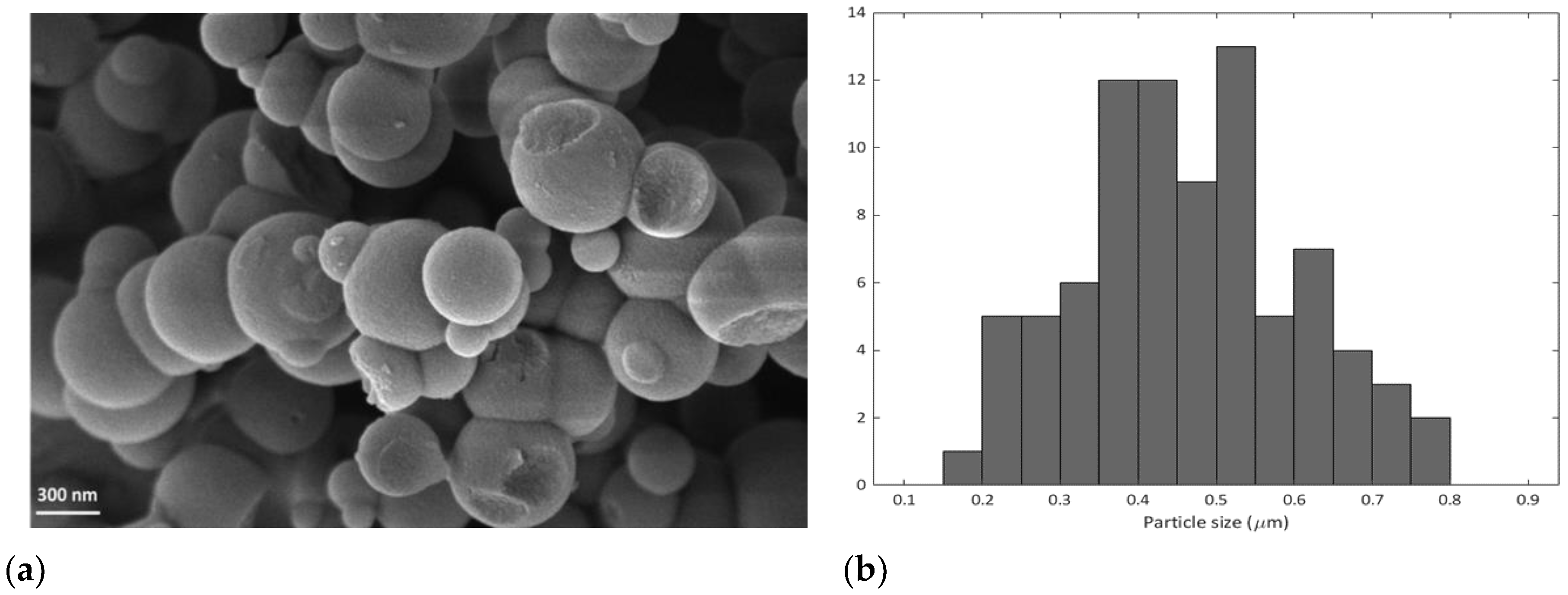 Ijms 22 13403 g002 Ijms 22 13403 g002