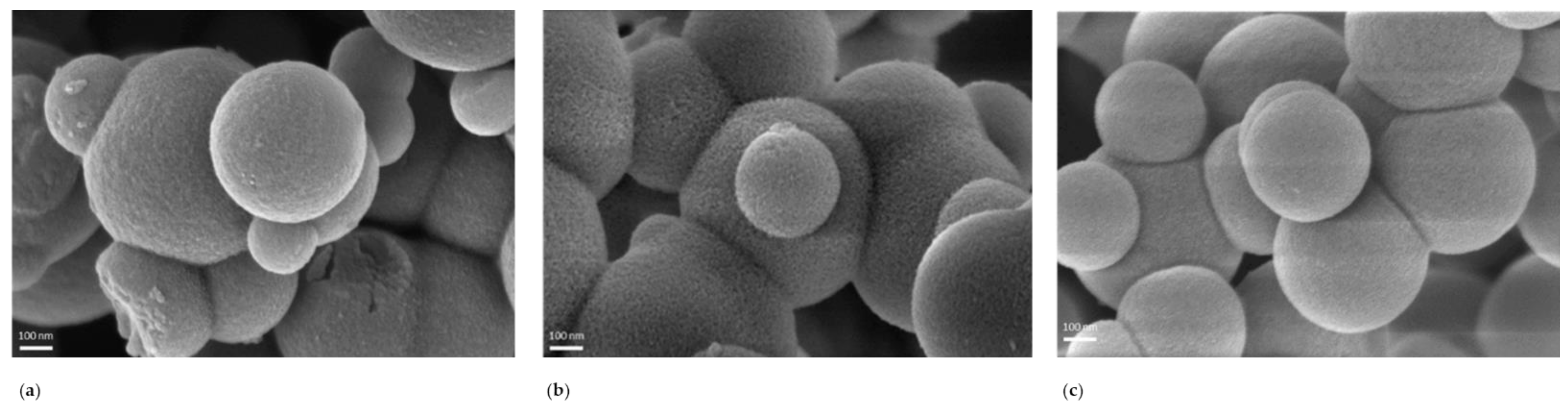 Ijms 22 13403 g003 Ijms 22 13403 g003