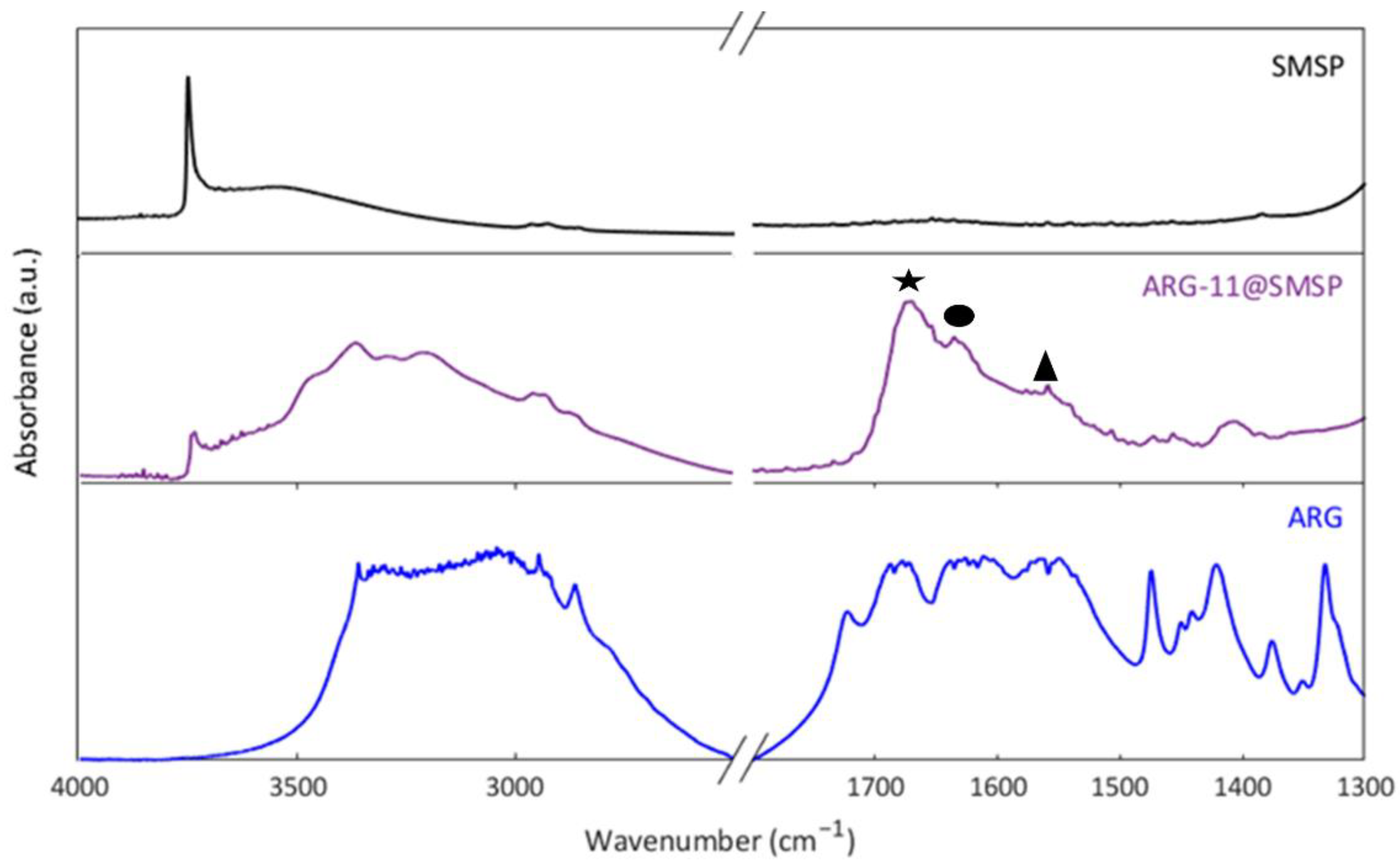 Ijms 22 13403 g005 Ijms 22 13403 g005