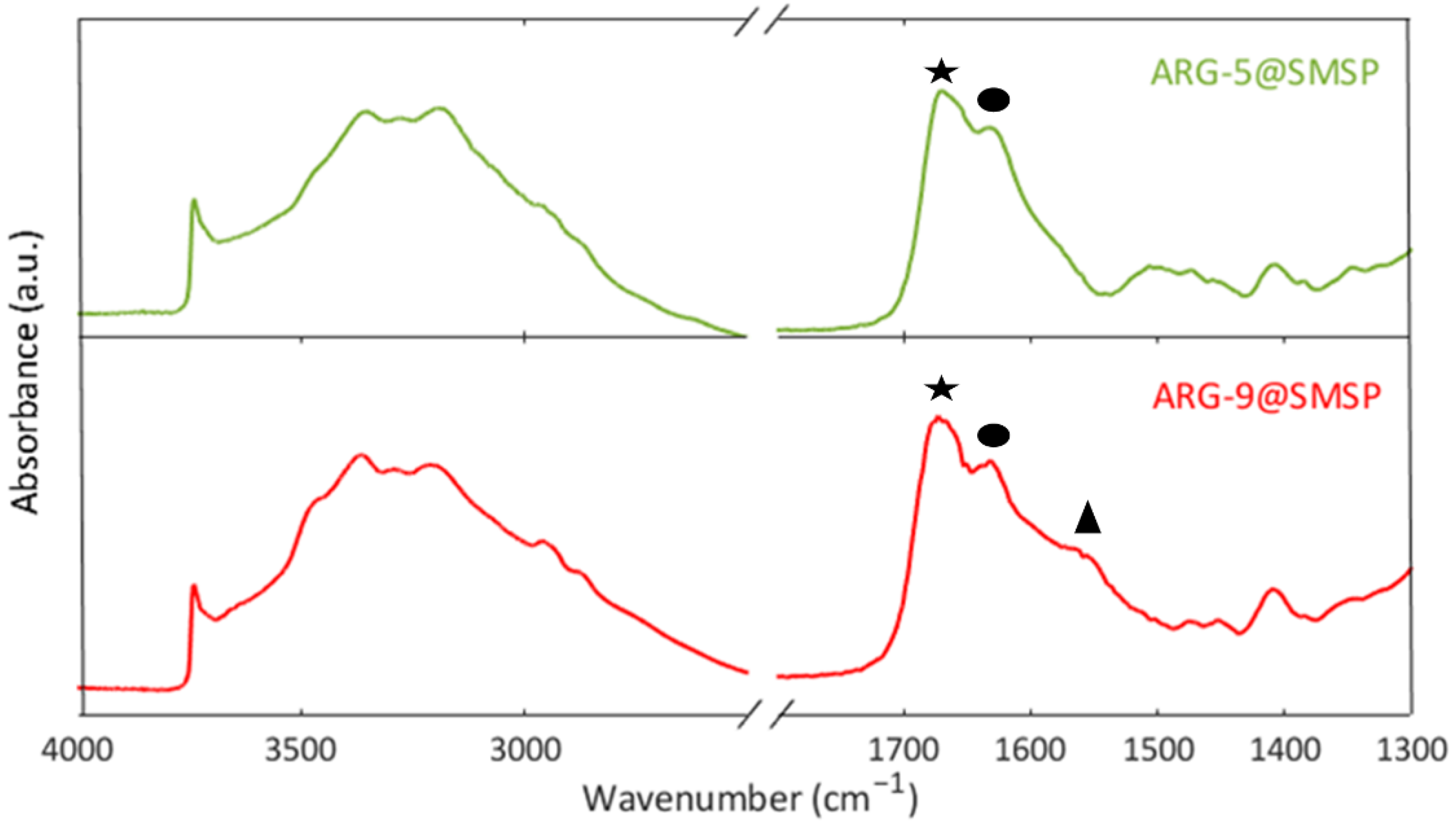 Ijms 22 13403 g007 Ijms 22 13403 g007