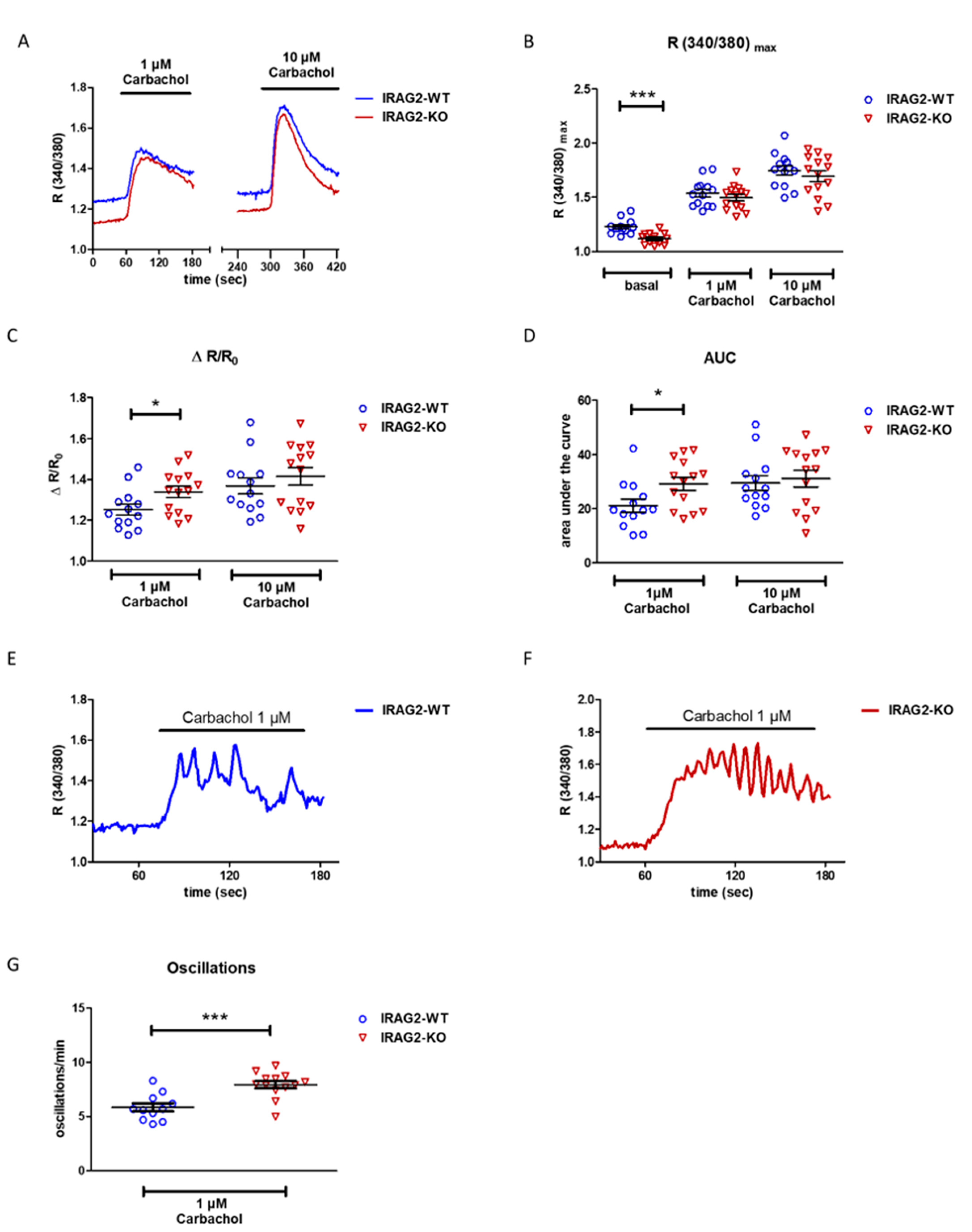 Ijms 22 13409 g003 Ijms 22 13409 g003