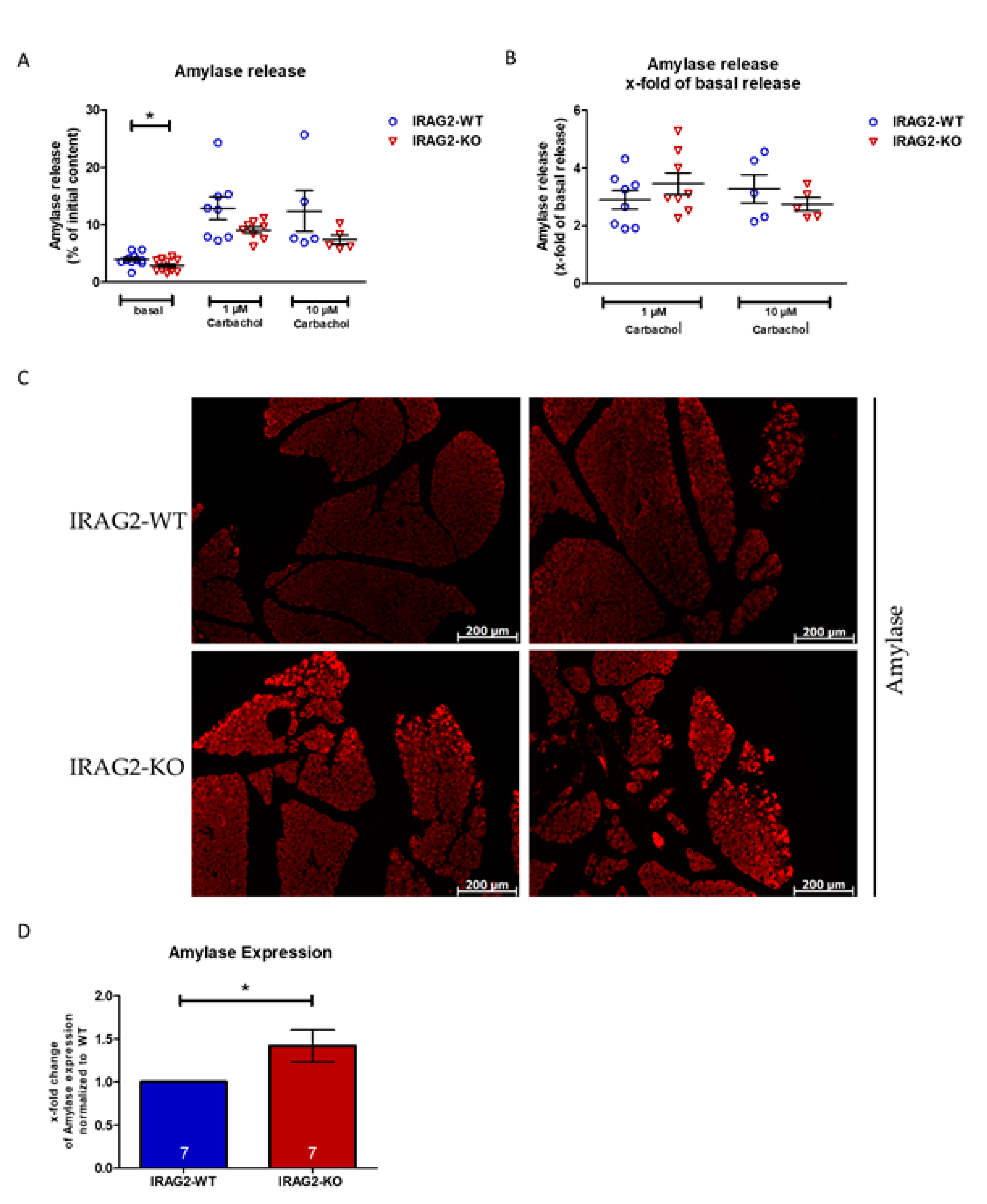 Ijms 22 13409 g004 Ijms 22 13409 g004