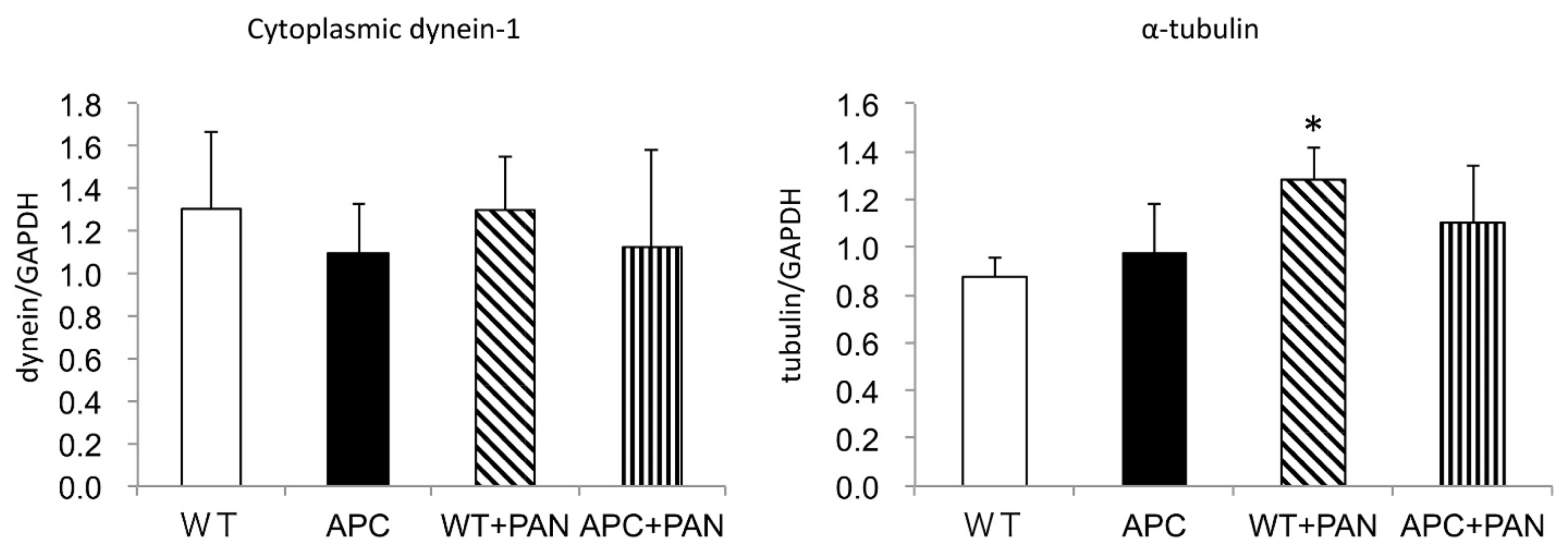 Ijms 22 13412 g007 Ijms 22 13412 g007