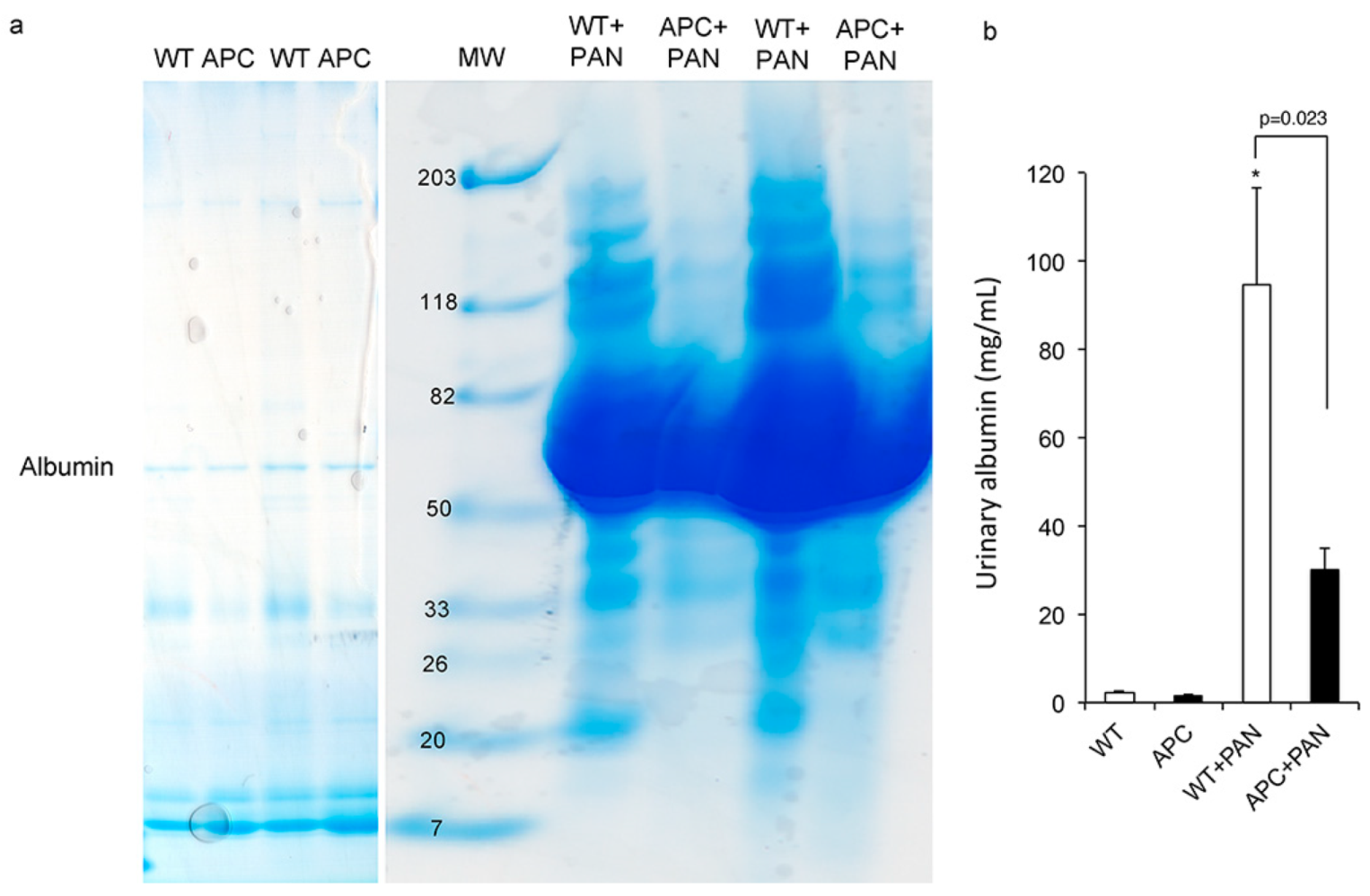 Ijms 22 13412 g008 Ijms 22 13412 g008