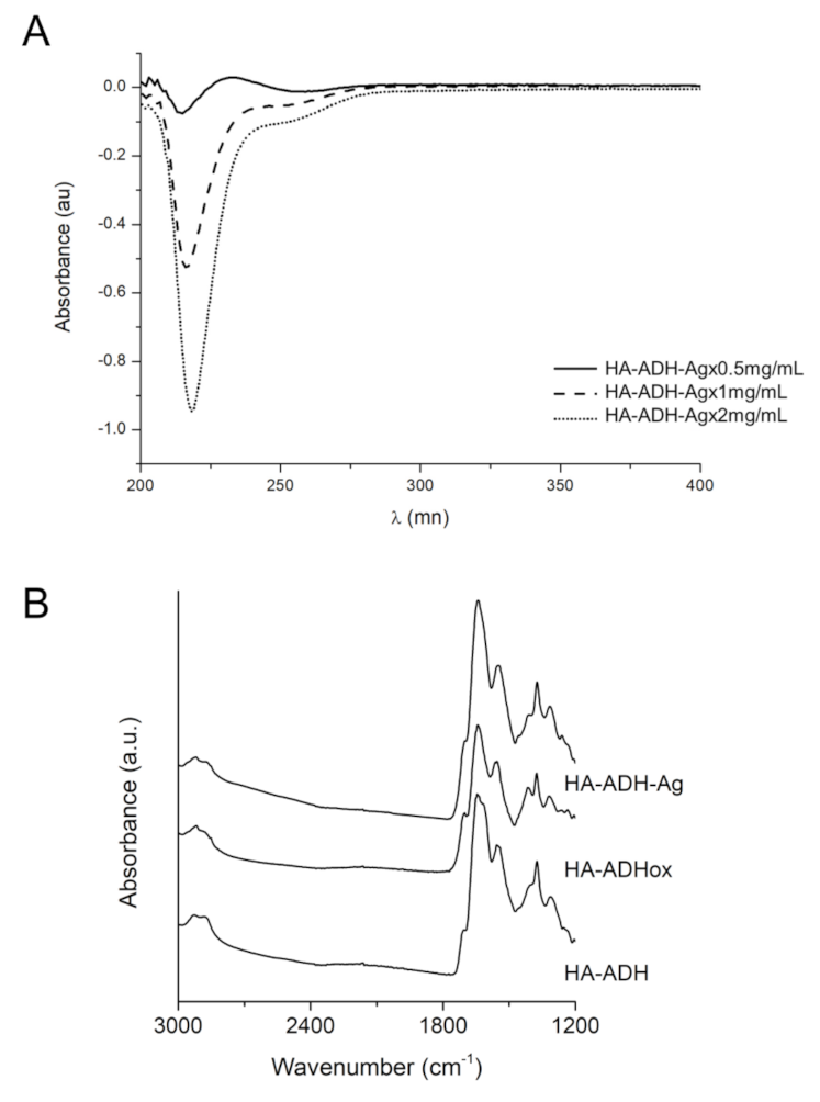 Ijms 22 13428 g004 550