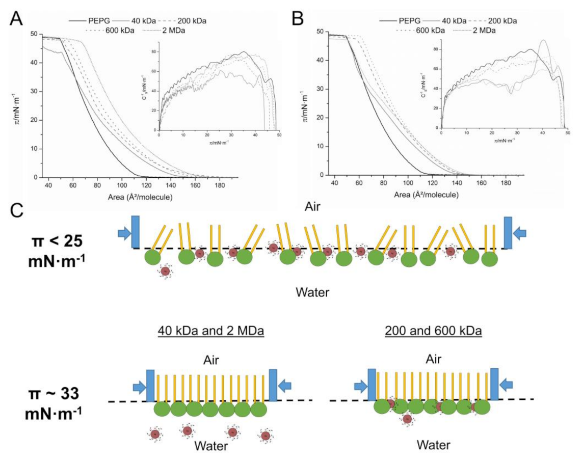 Ijms 22 13428 g006 550