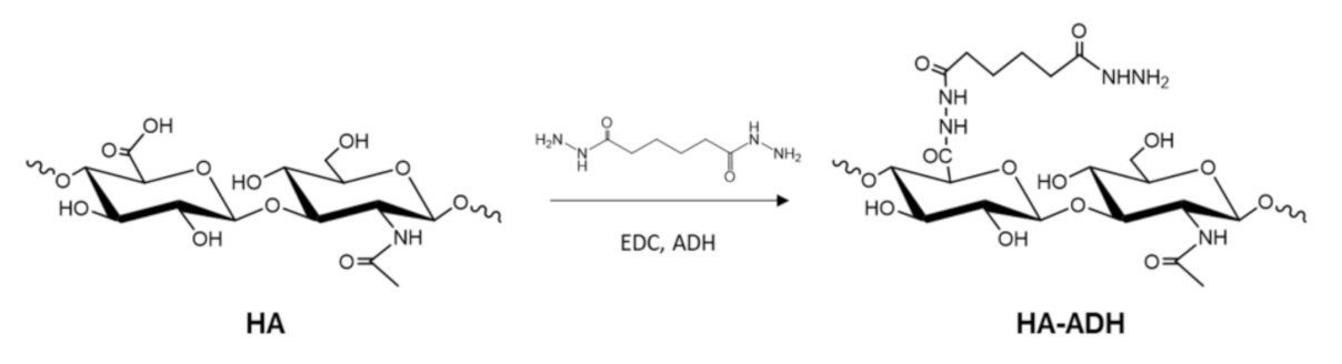 Ijms 22 13428 sch001 550