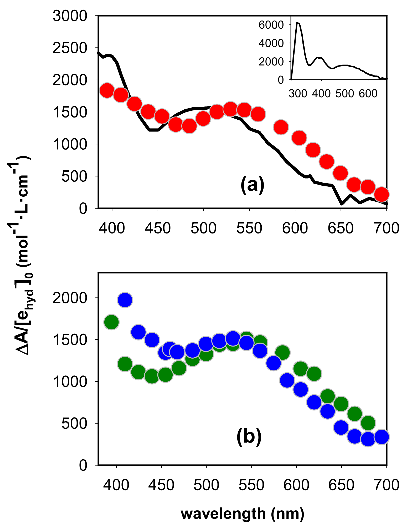 Ijms 22 13436 g002 Ijms 22 13436 g002