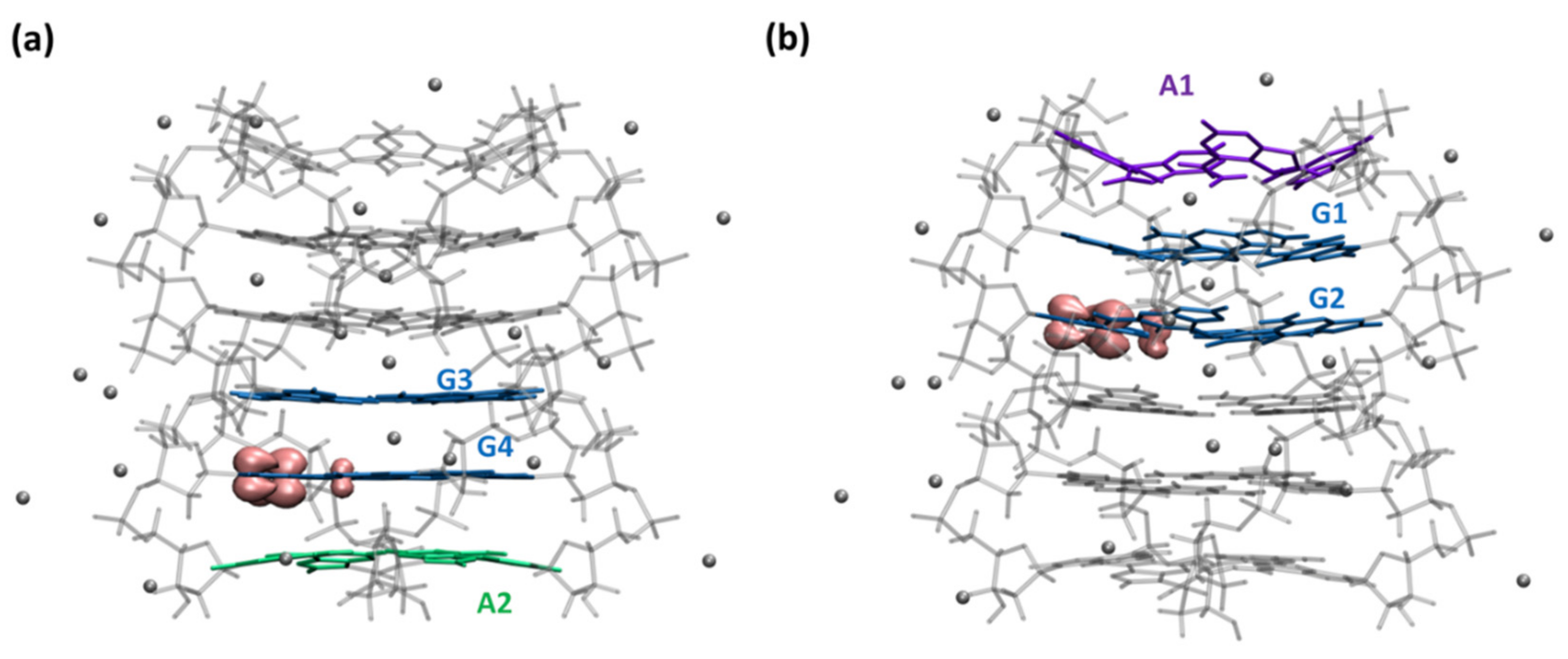 Ijms 22 13436 g003 Ijms 22 13436 g003