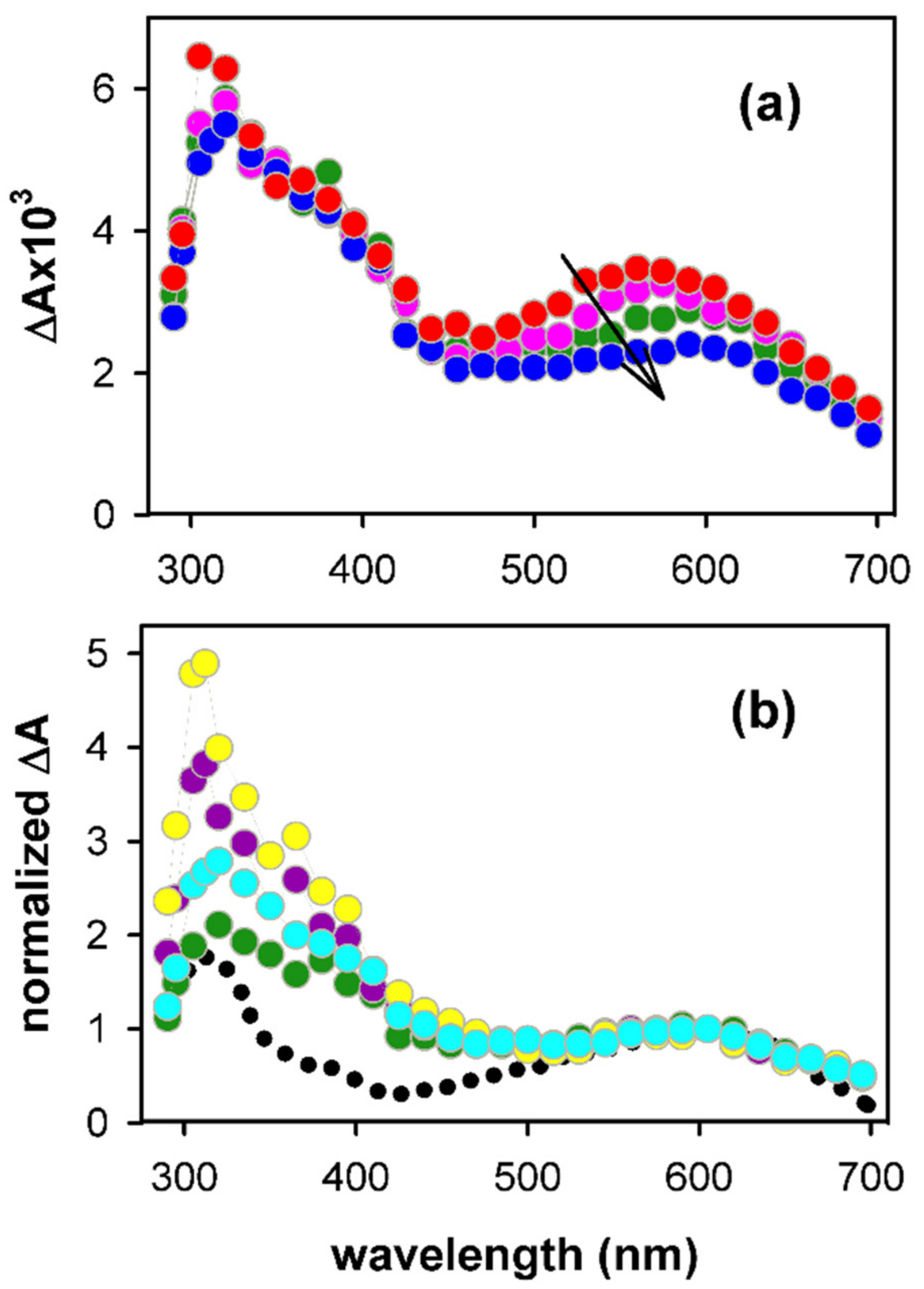 Ijms 22 13436 g005 Ijms 22 13436 g005