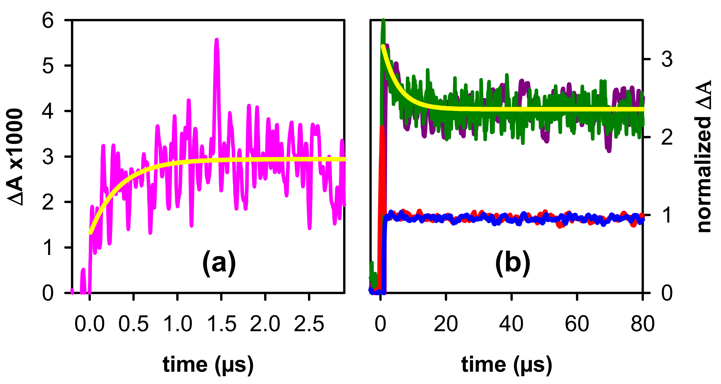 Ijms 22 13436 g006 Ijms 22 13436 g006