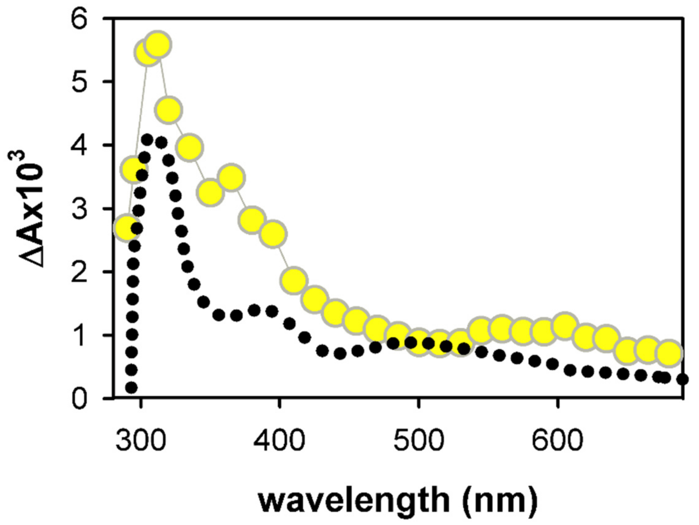 Ijms 22 13436 g008 Ijms 22 13436 g008