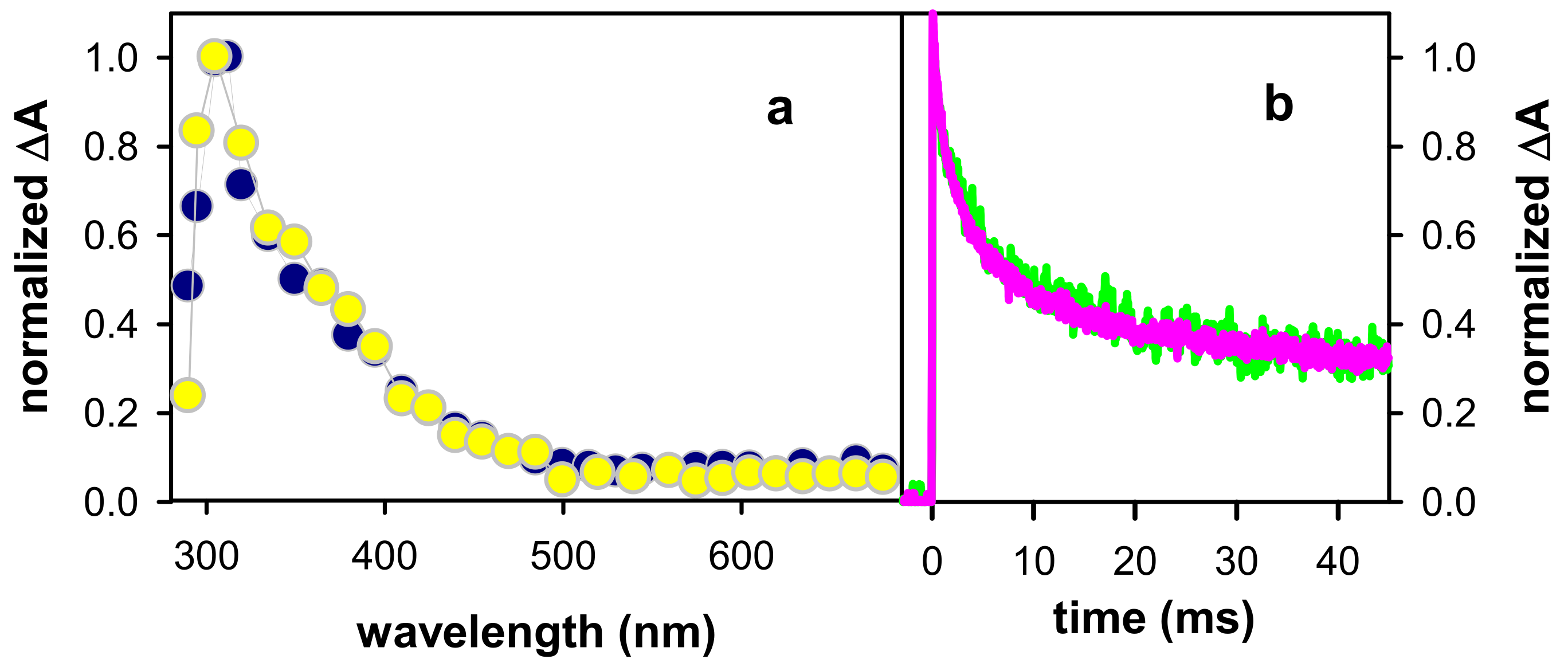 Ijms 22 13436 g009 Ijms 22 13436 g009