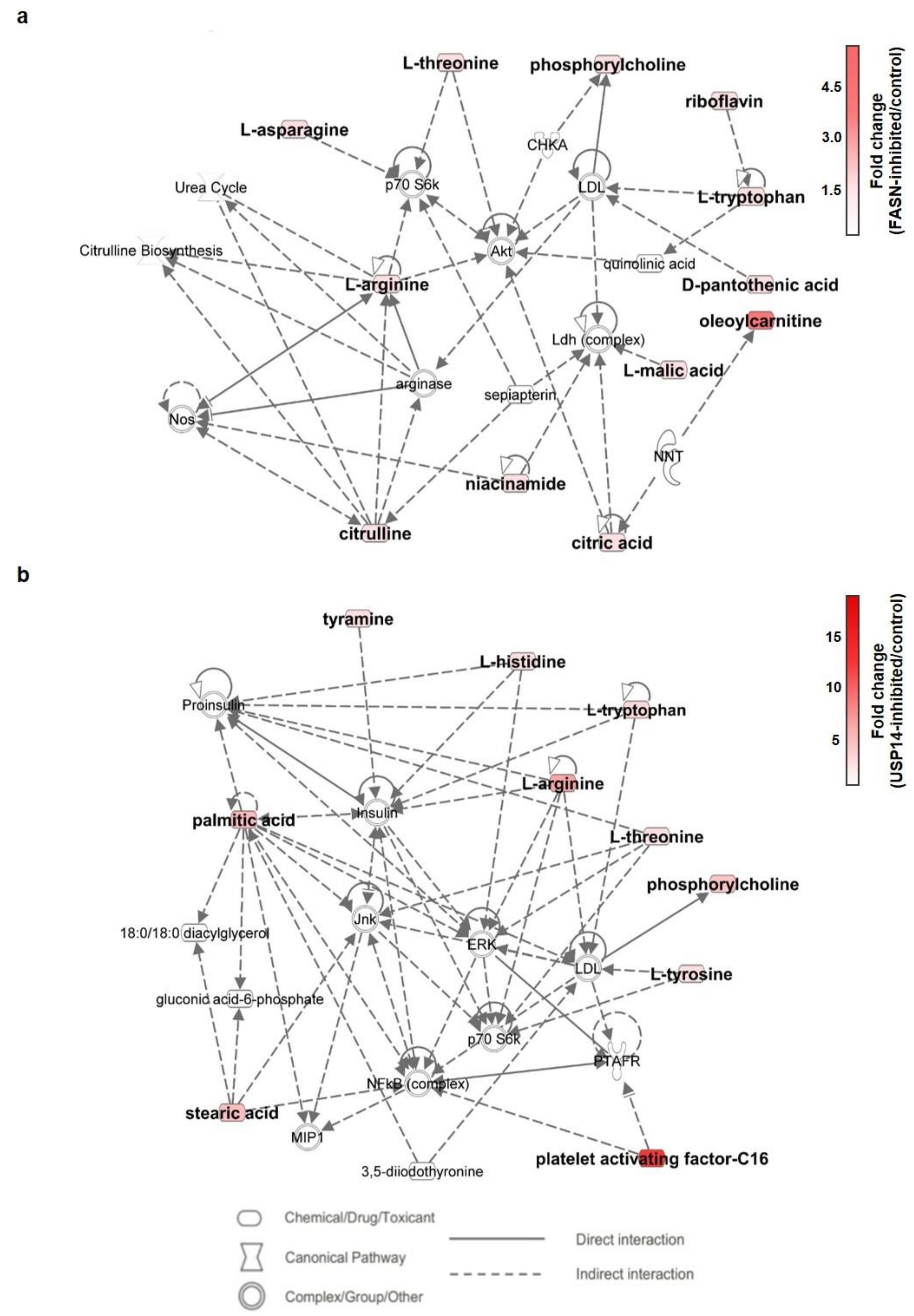 Ijms 22 13437 g008 550