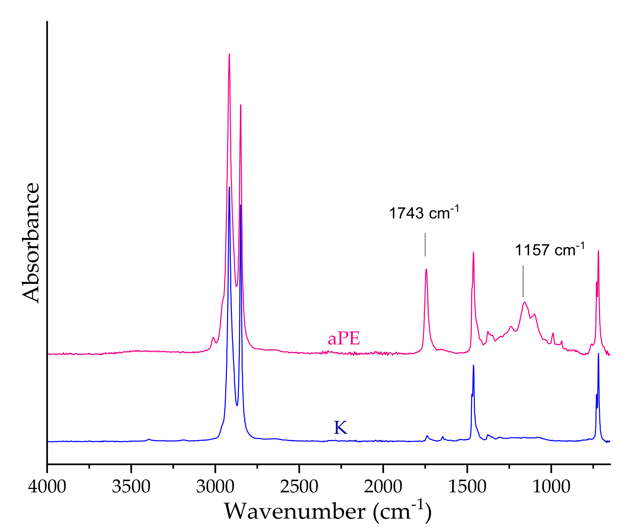 Ijms 22 13438 g007 550