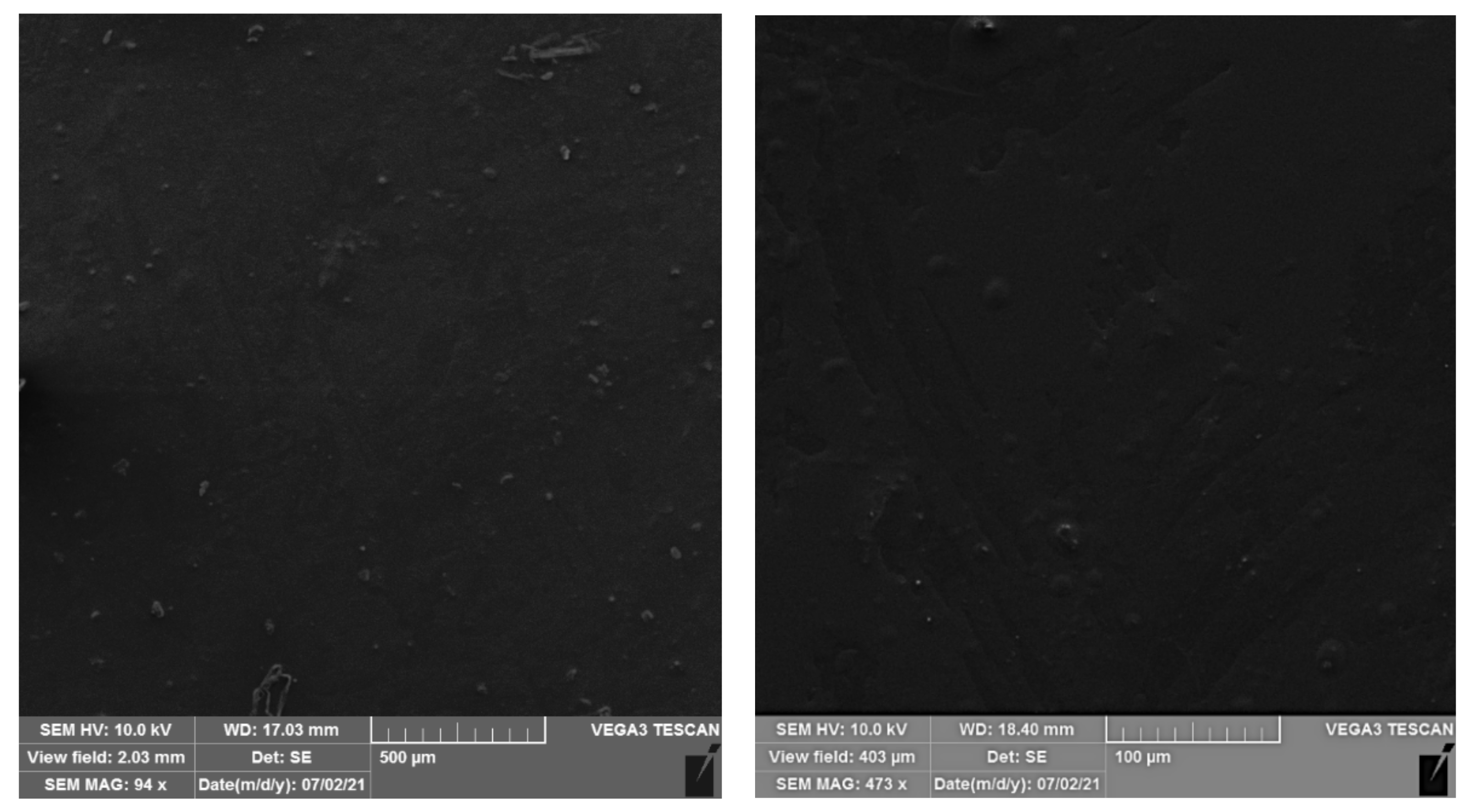 Ijms 22 13438 g008 550