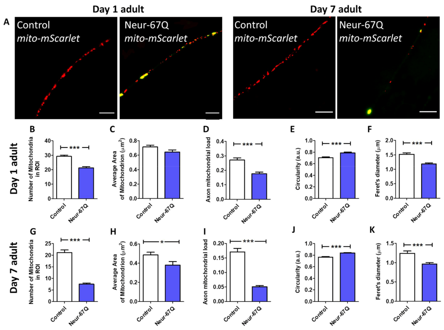 Ijms 22 13447 g001 Ijms 22 13447 g001