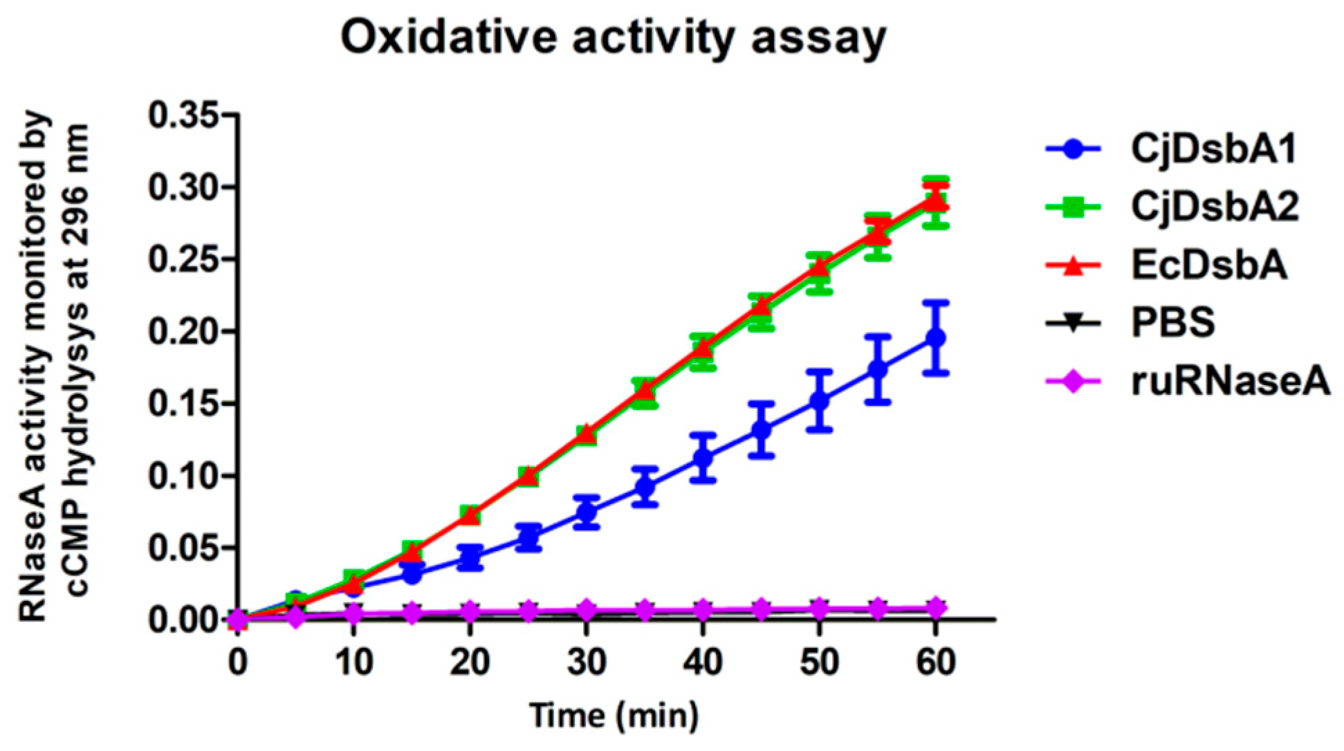 Ijms 22 13451 g001 Ijms 22 13451 g001