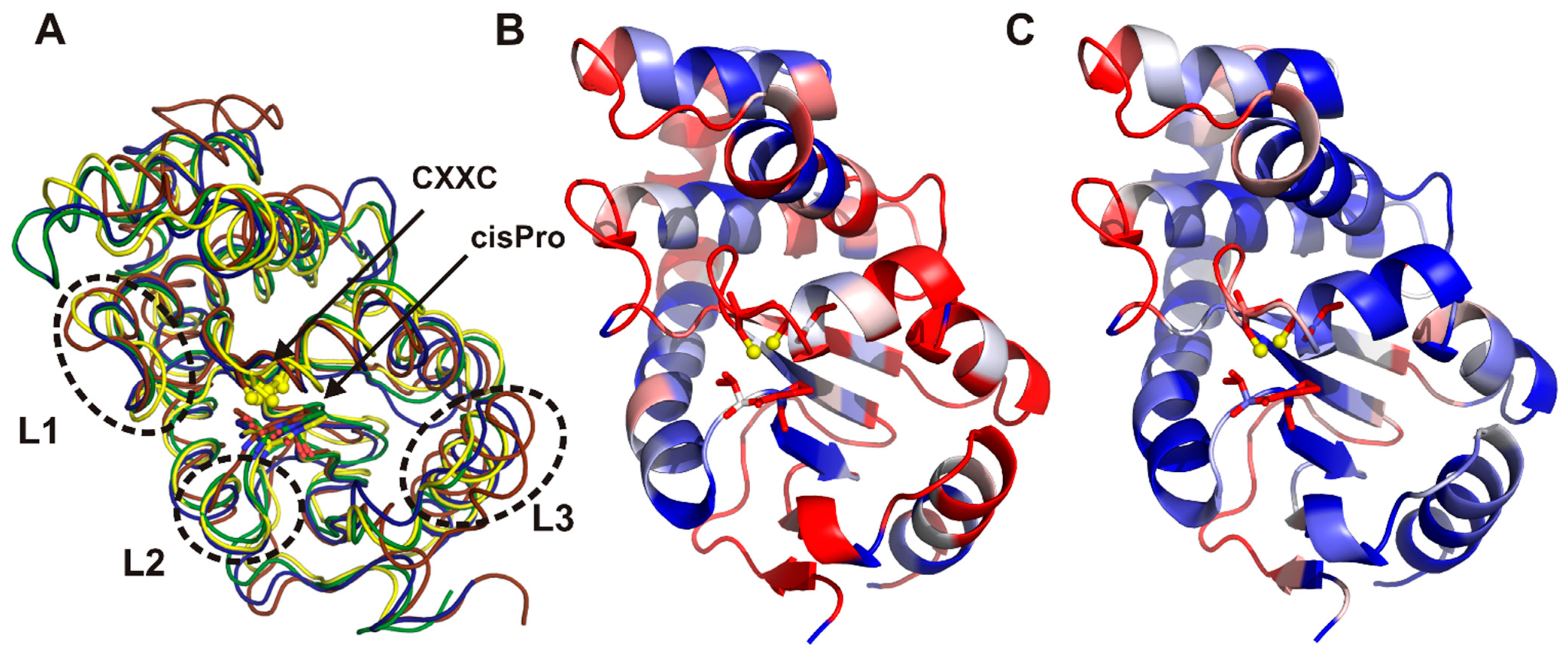 Ijms 22 13451 g007 Ijms 22 13451 g007