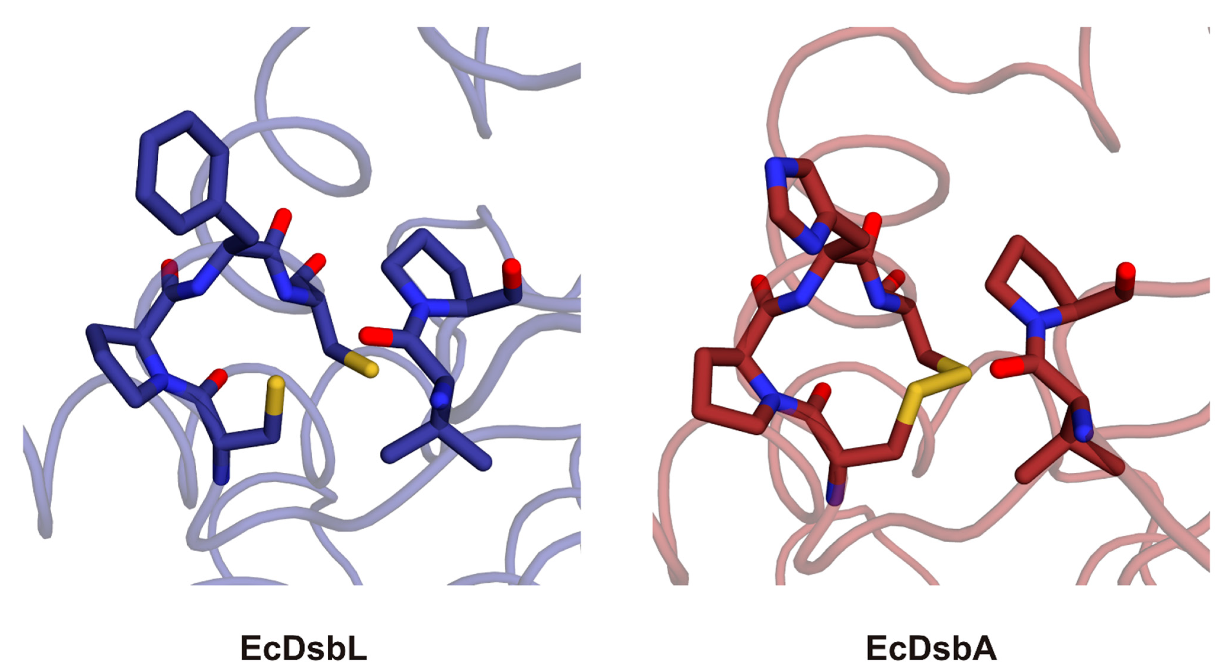 Ijms 22 13451 g008b Ijms 22 13451 g008b