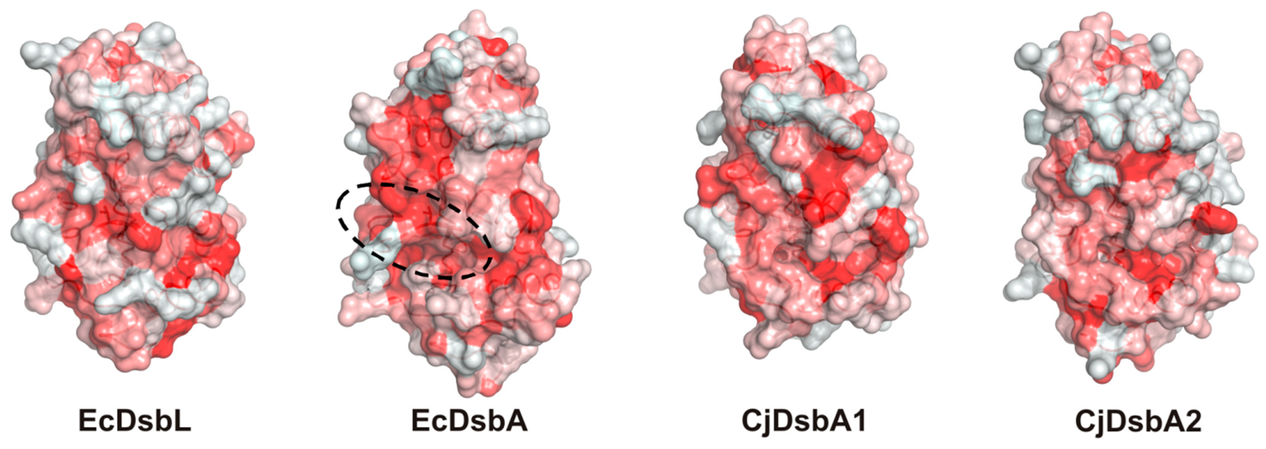 Ijms 22 13451 g010 Ijms 22 13451 g010