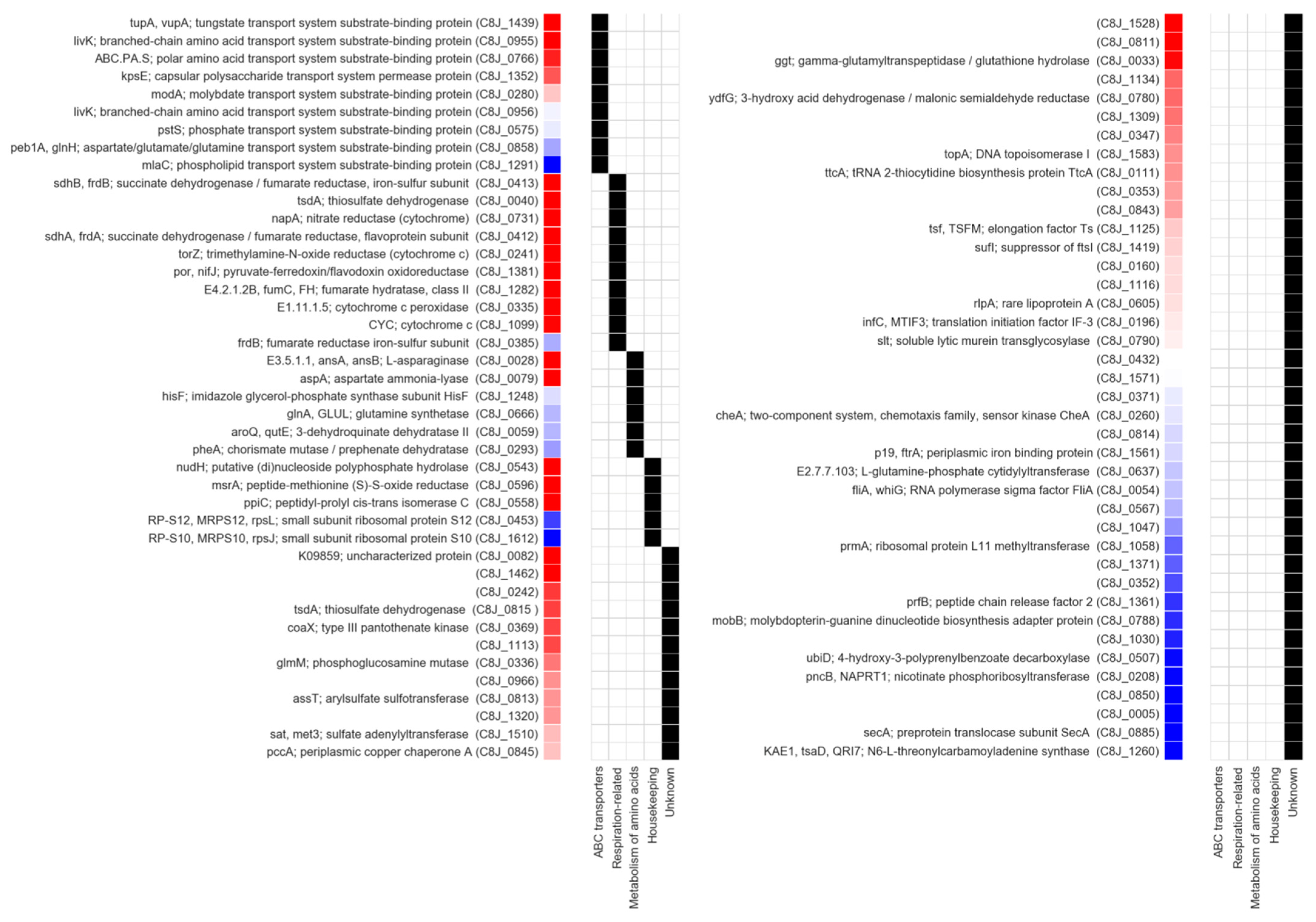 Ijms 22 13451 g012 Ijms 22 13451 g012