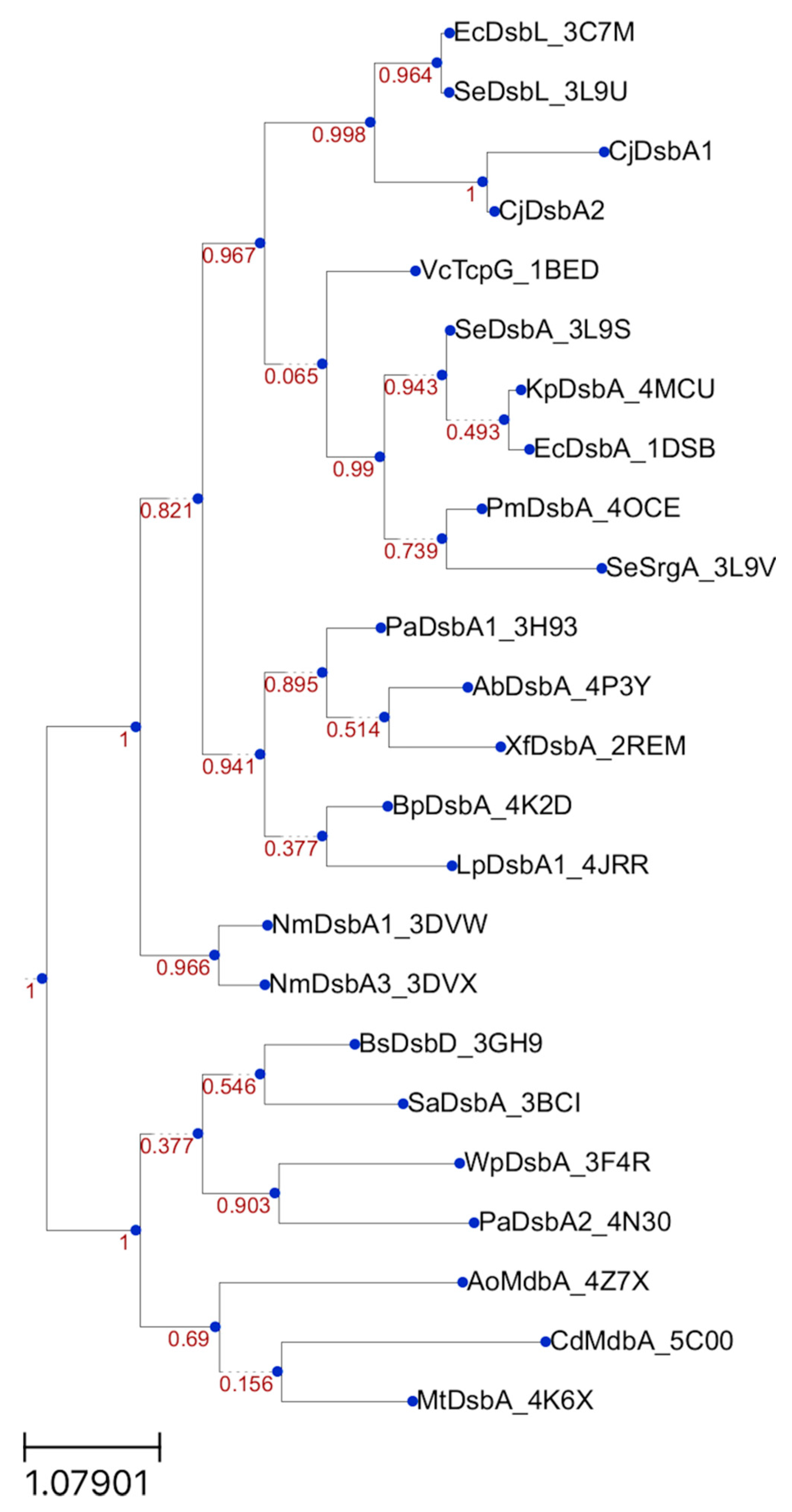 Ijms 22 13451 g014 Ijms 22 13451 g014