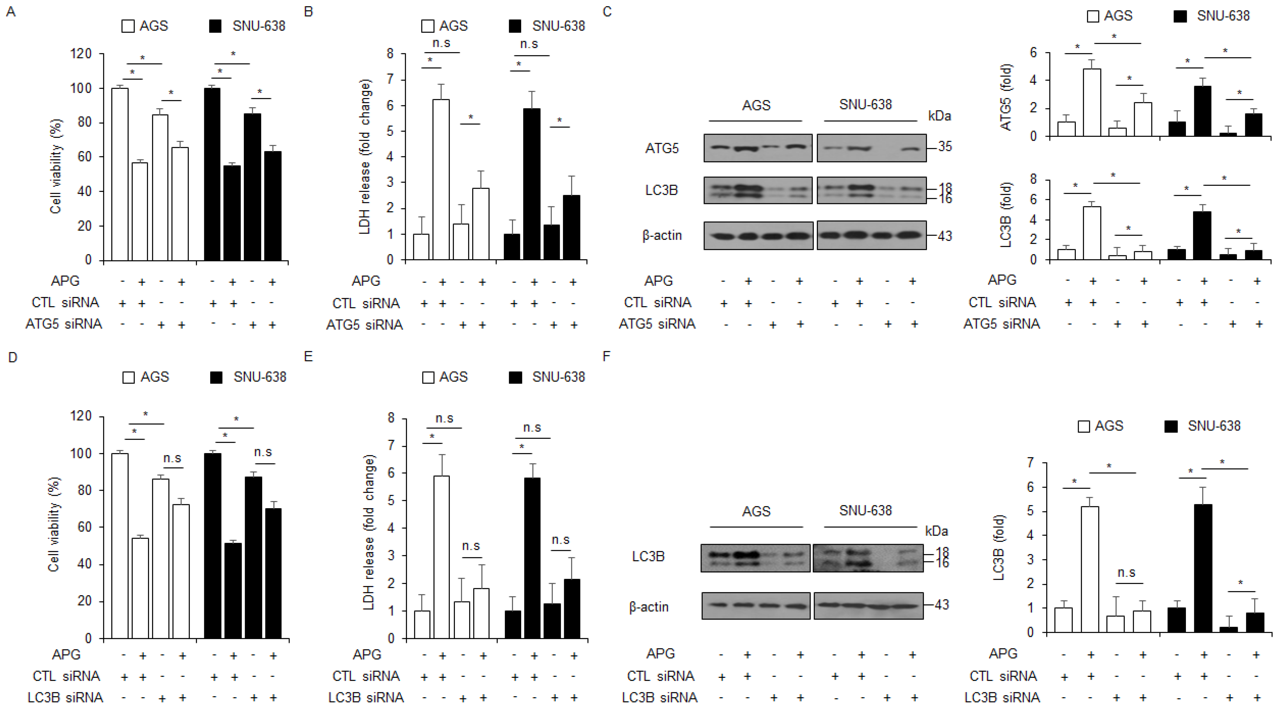 Ijms 22 13455 g003 550