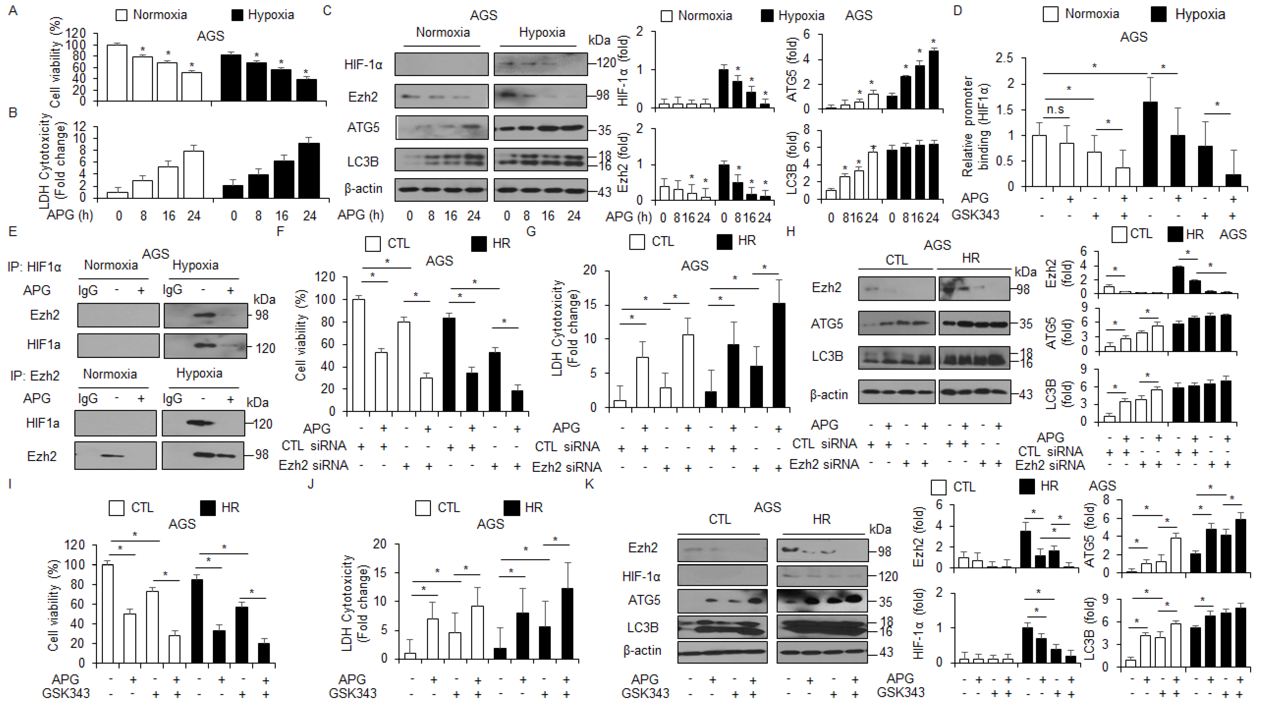 Ijms 22 13455 g007 550