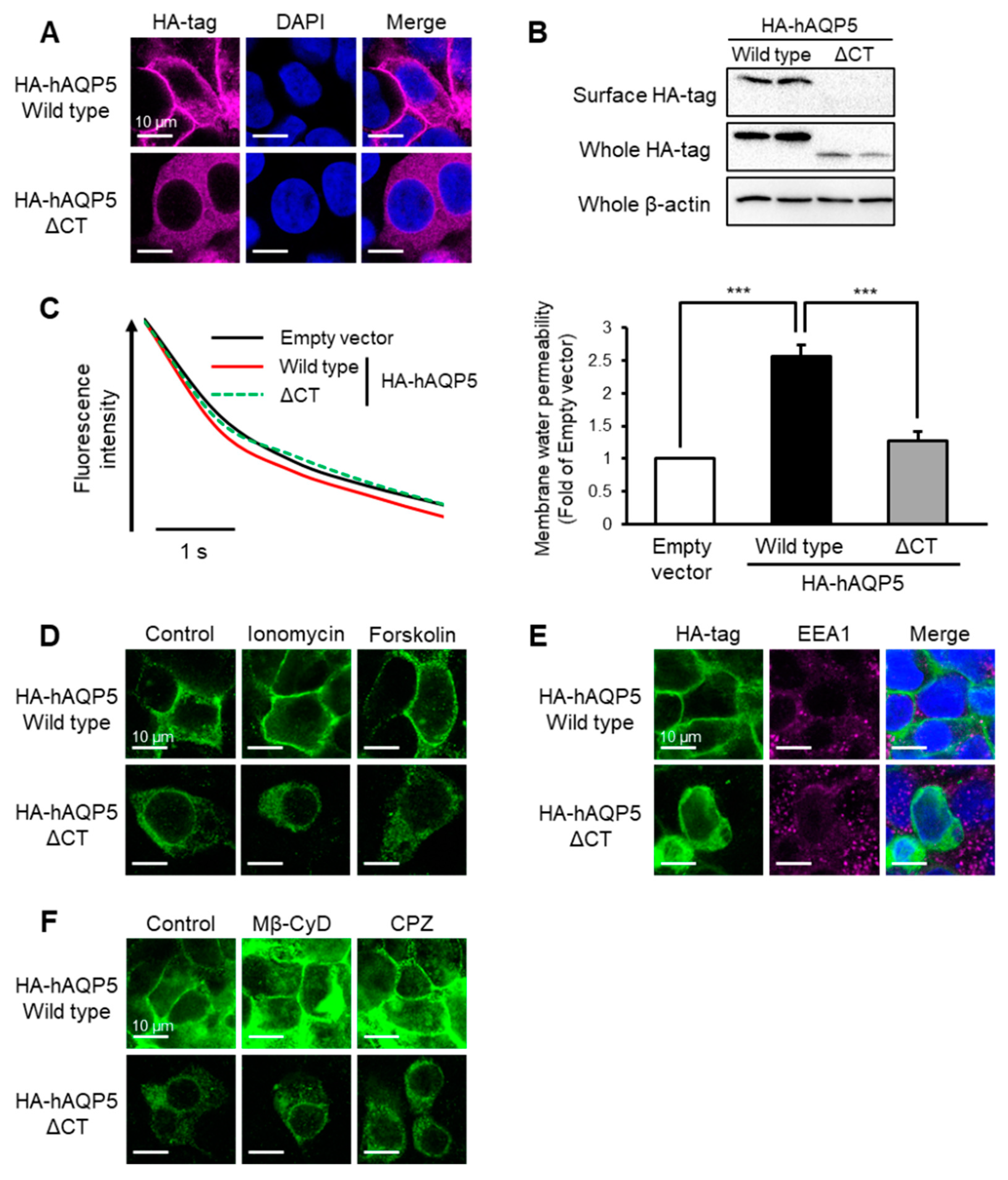 Ijms 22 13461 g001 550